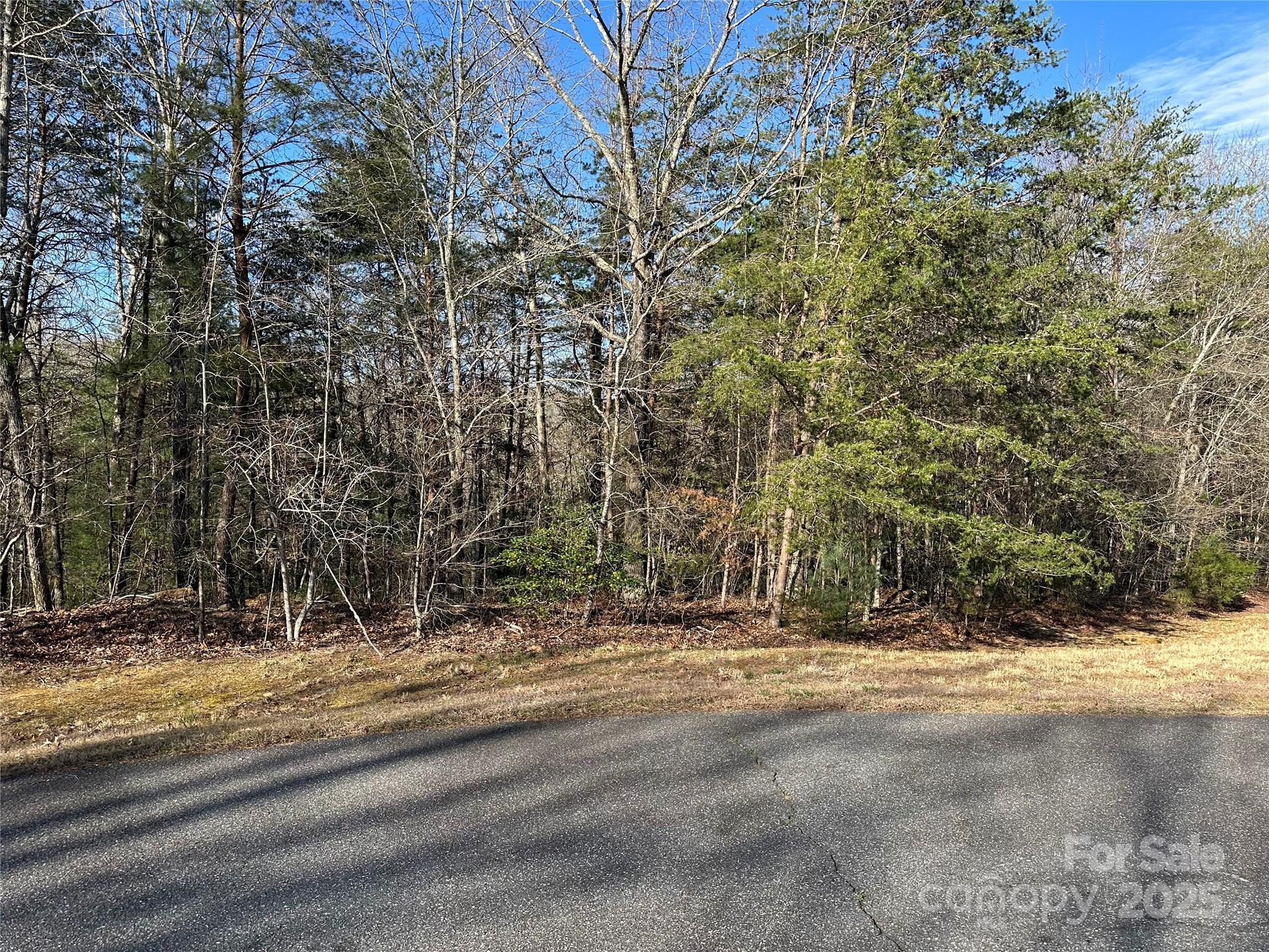 main property photo 13
