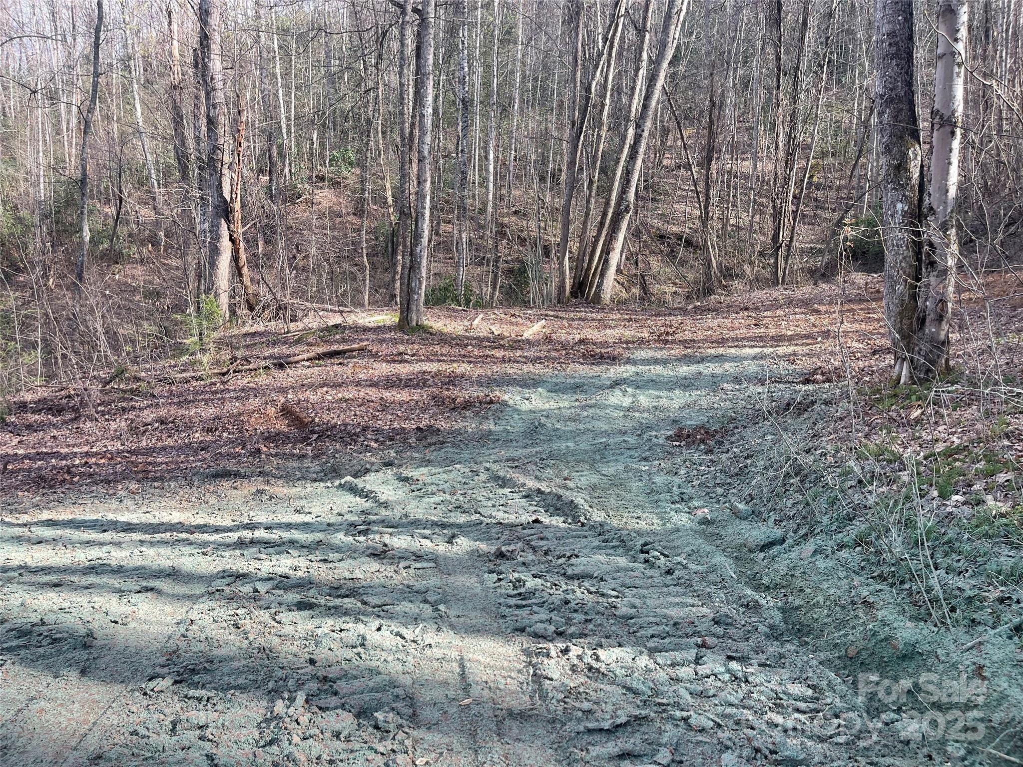 main property photo 11