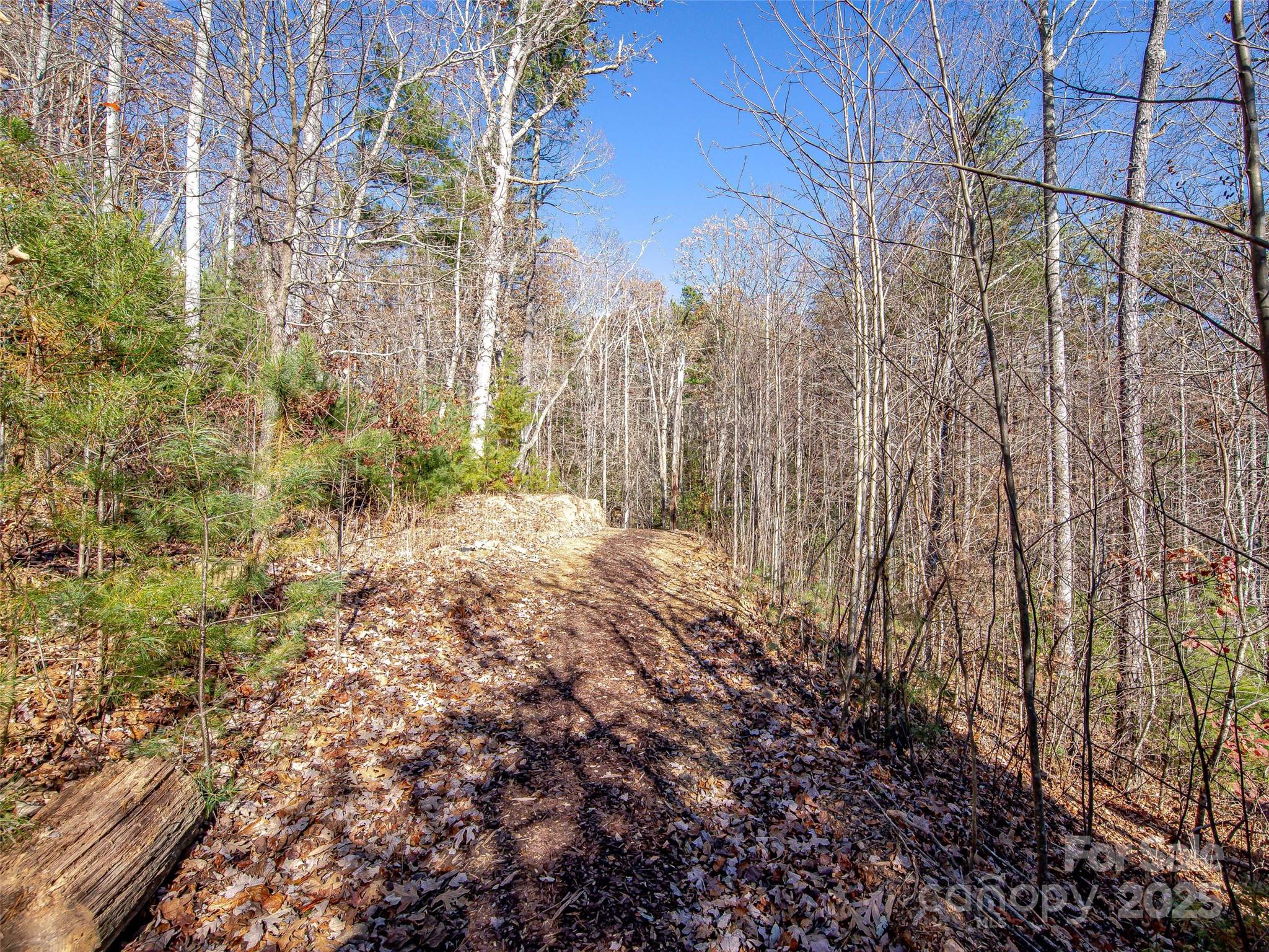 main property photo 9