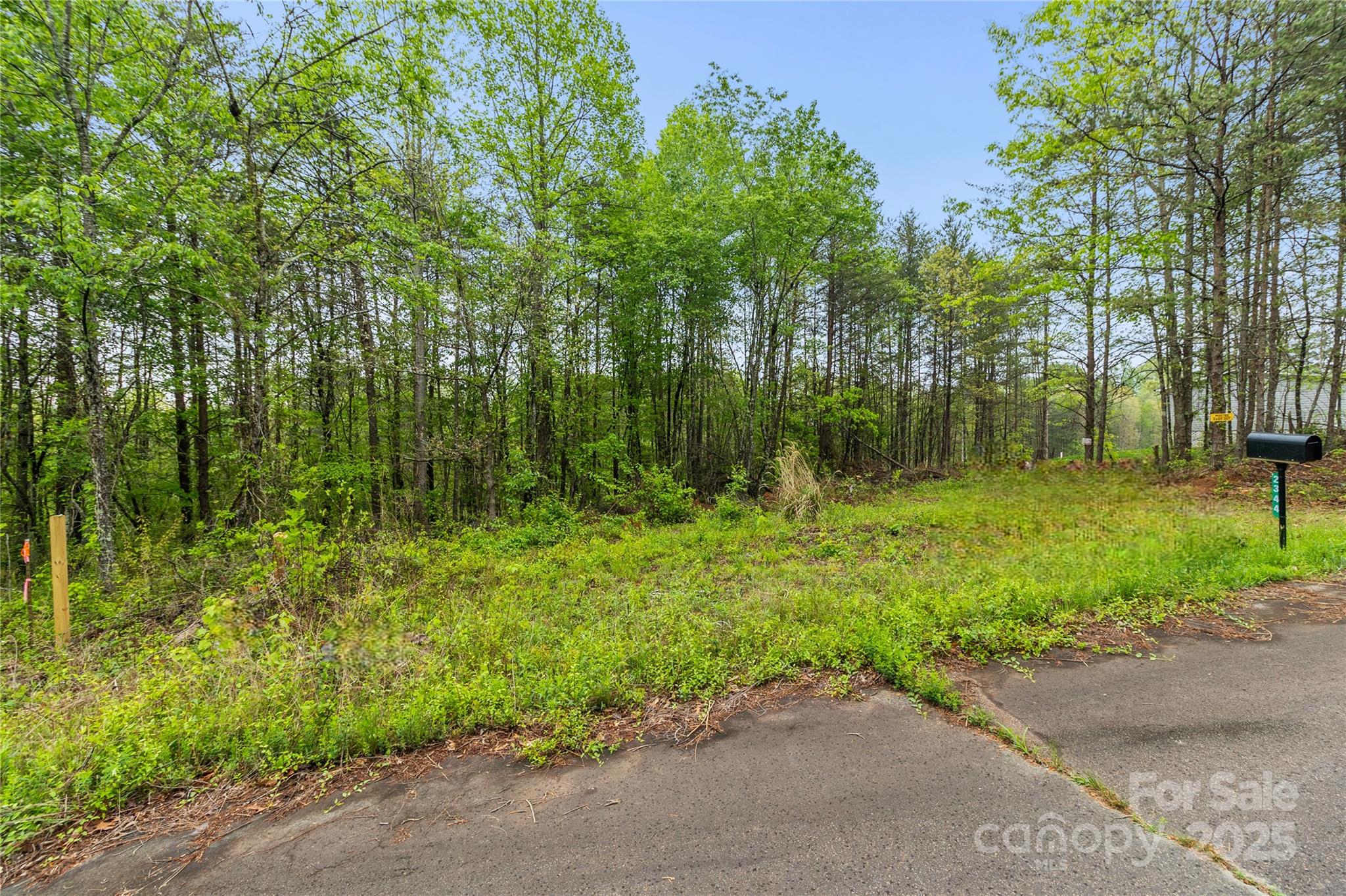 property viewer photo 3