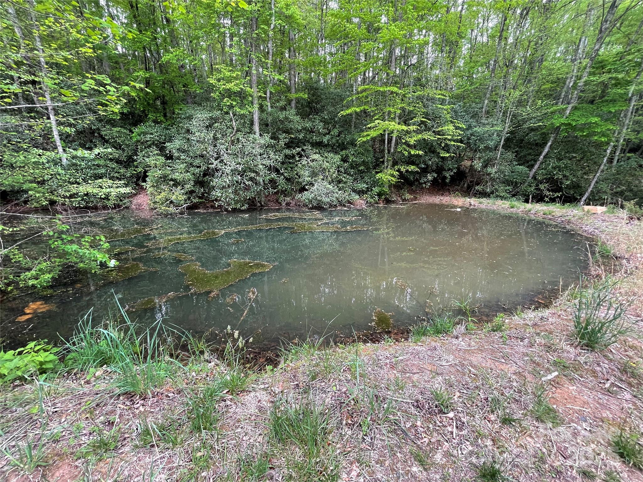 main property photo 16