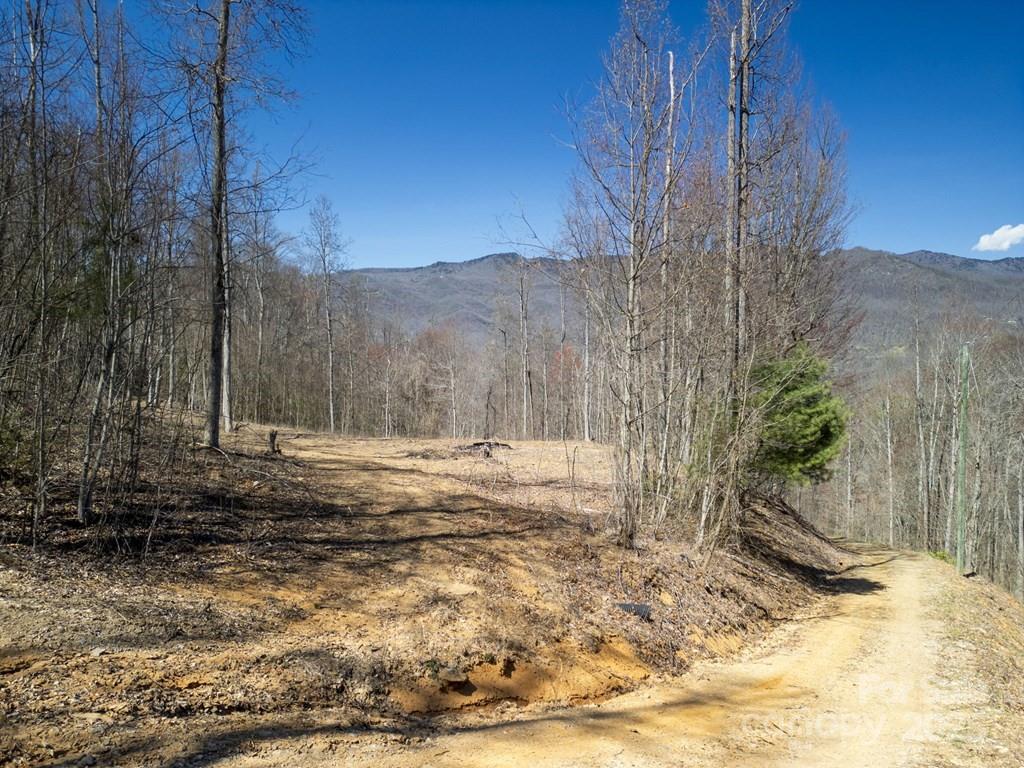 main property photo 45