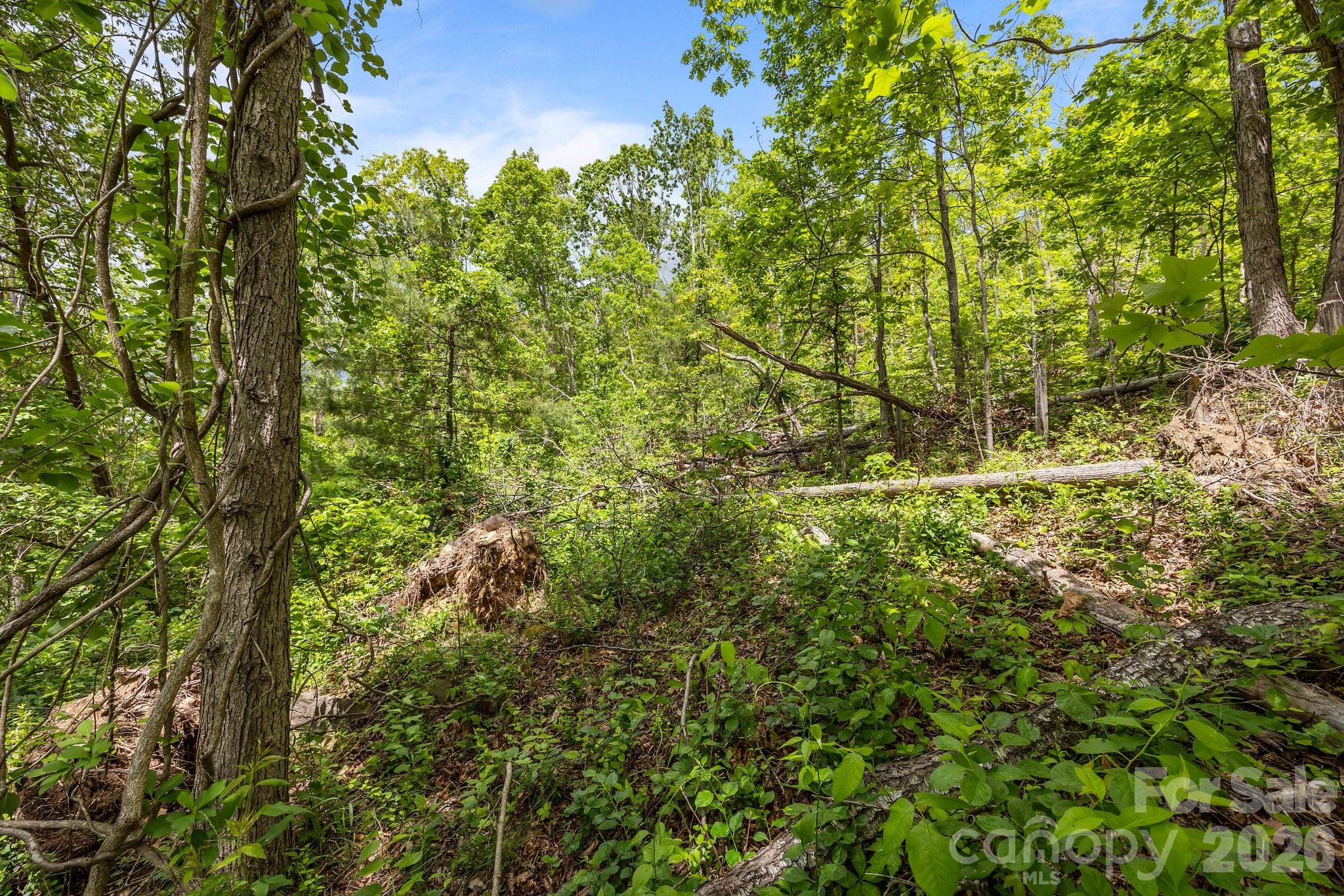 main property photo 19