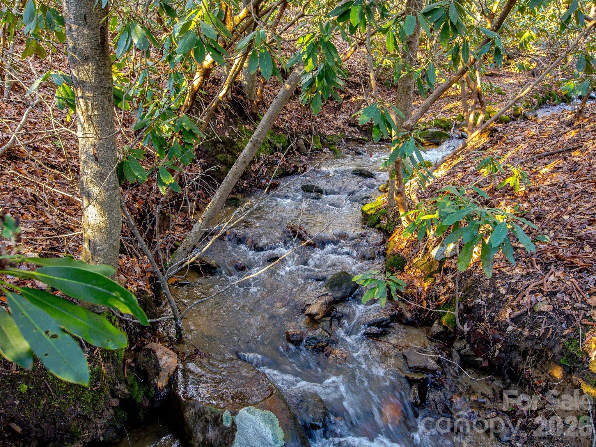 main property photo 46