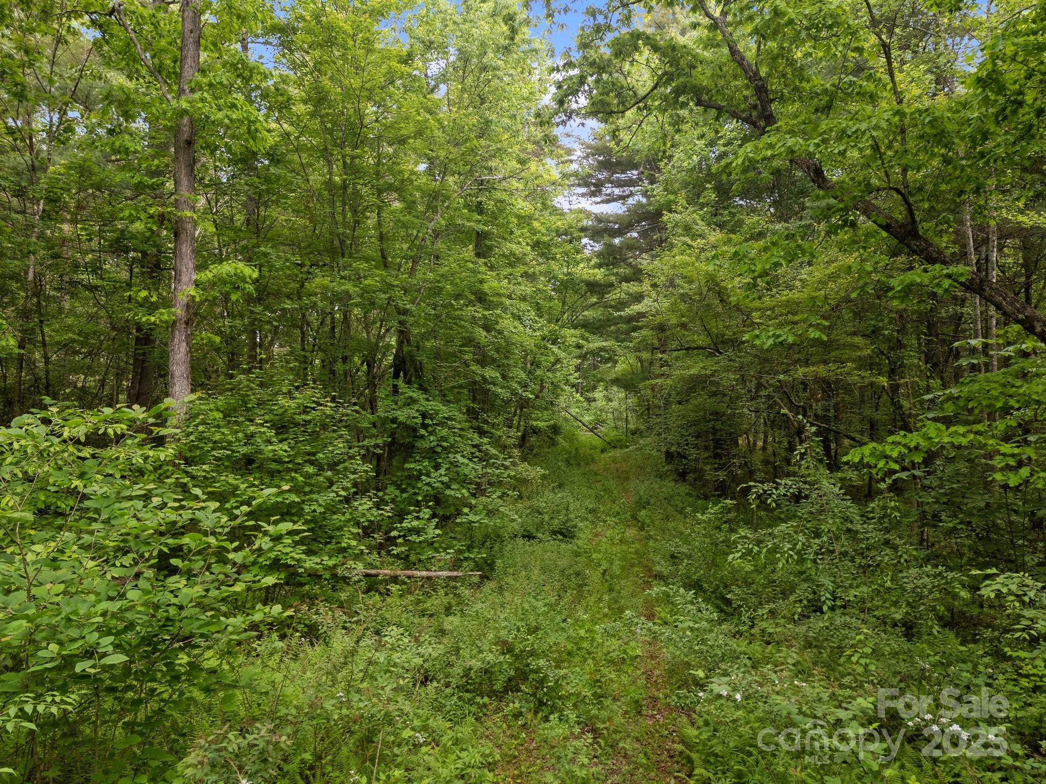 main property photo 13