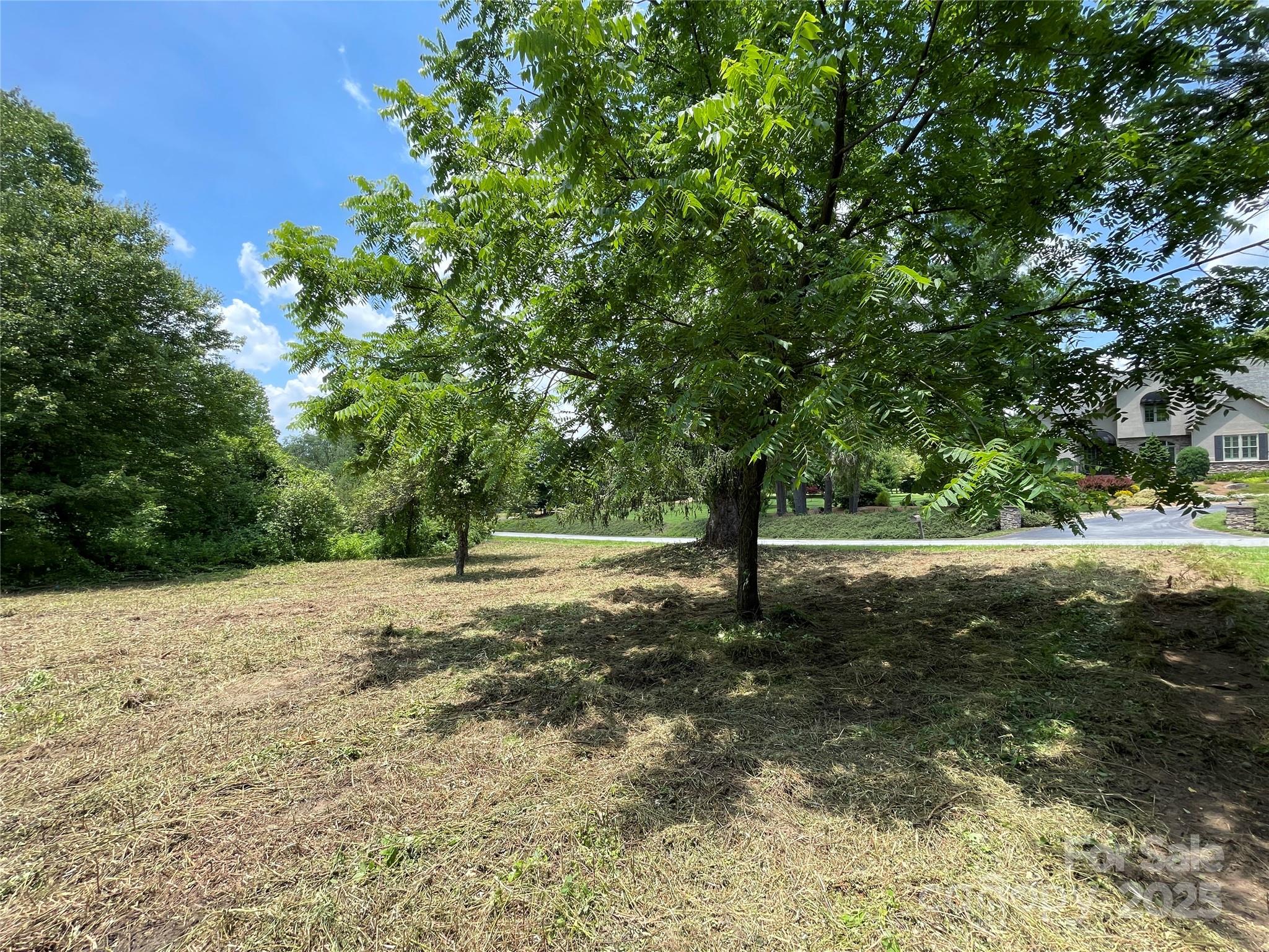 main property photo 28