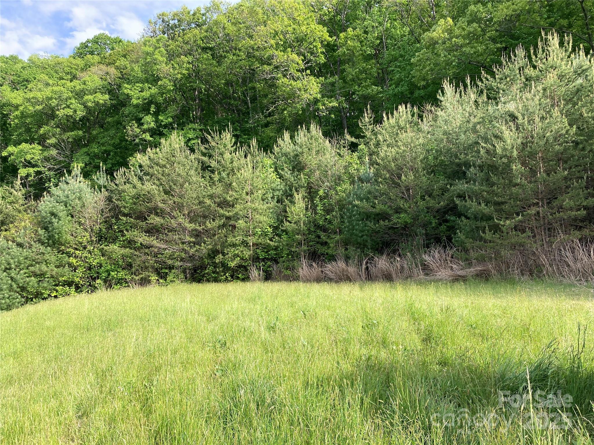 property viewer photo 10