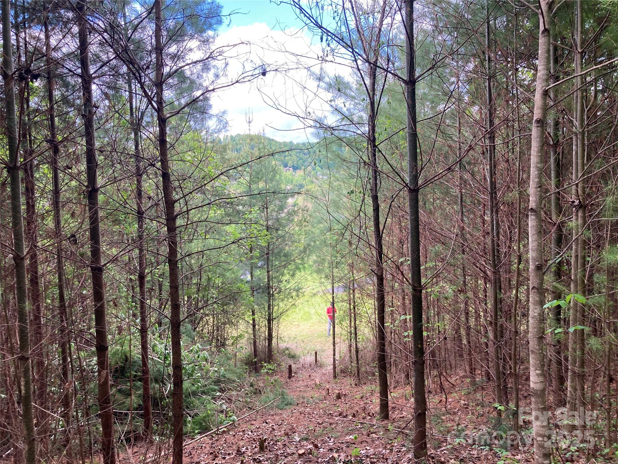 property viewer photo 11