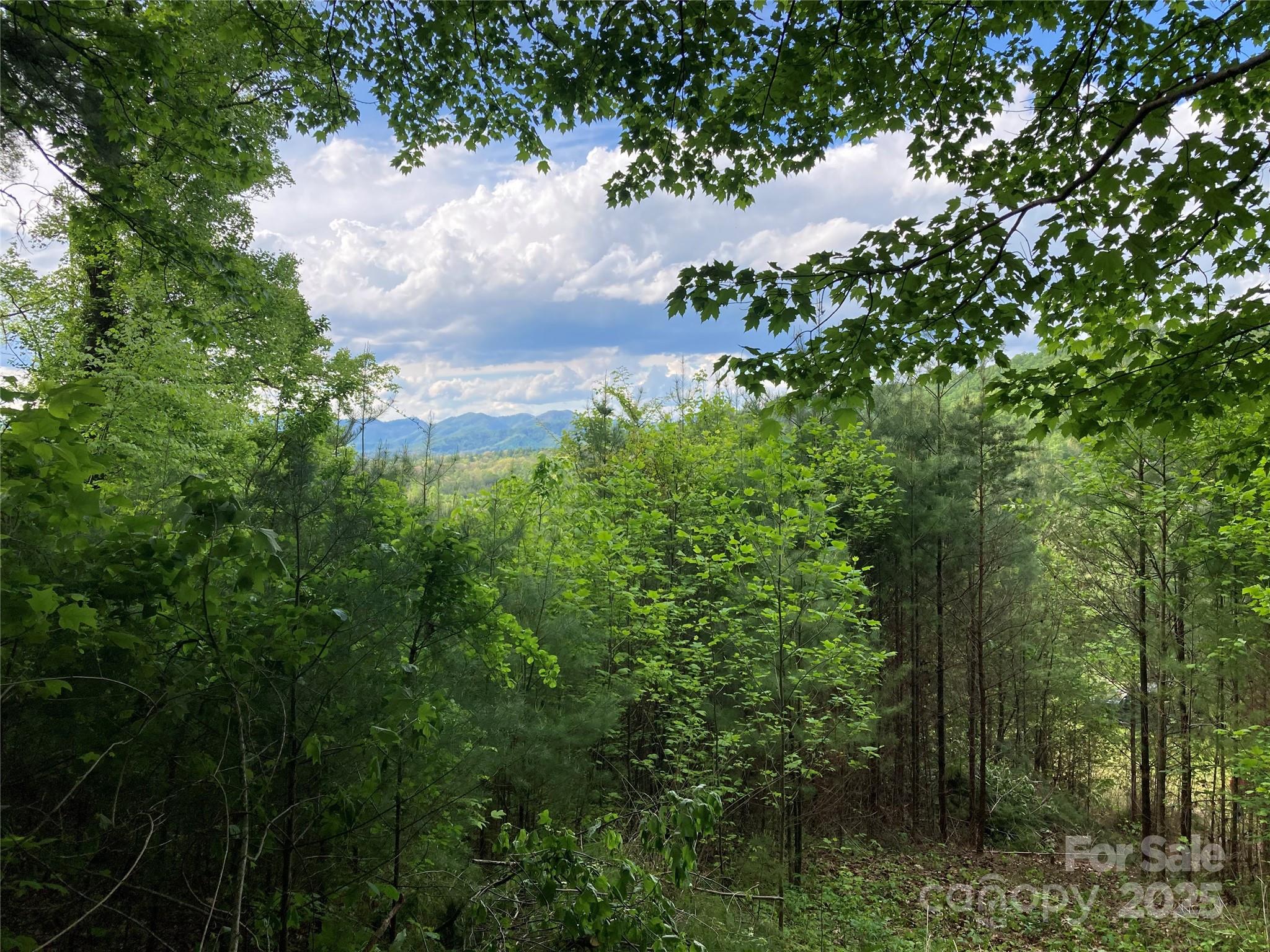 property viewer photo 12