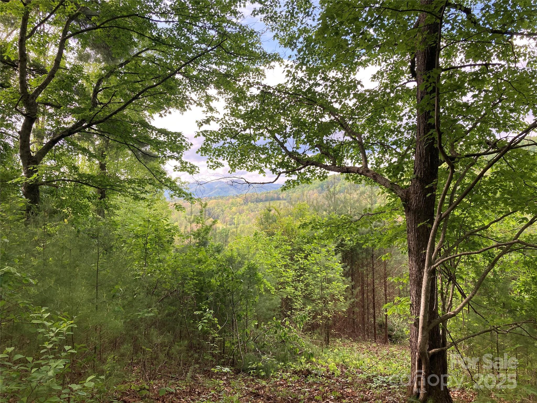 property viewer photo 13