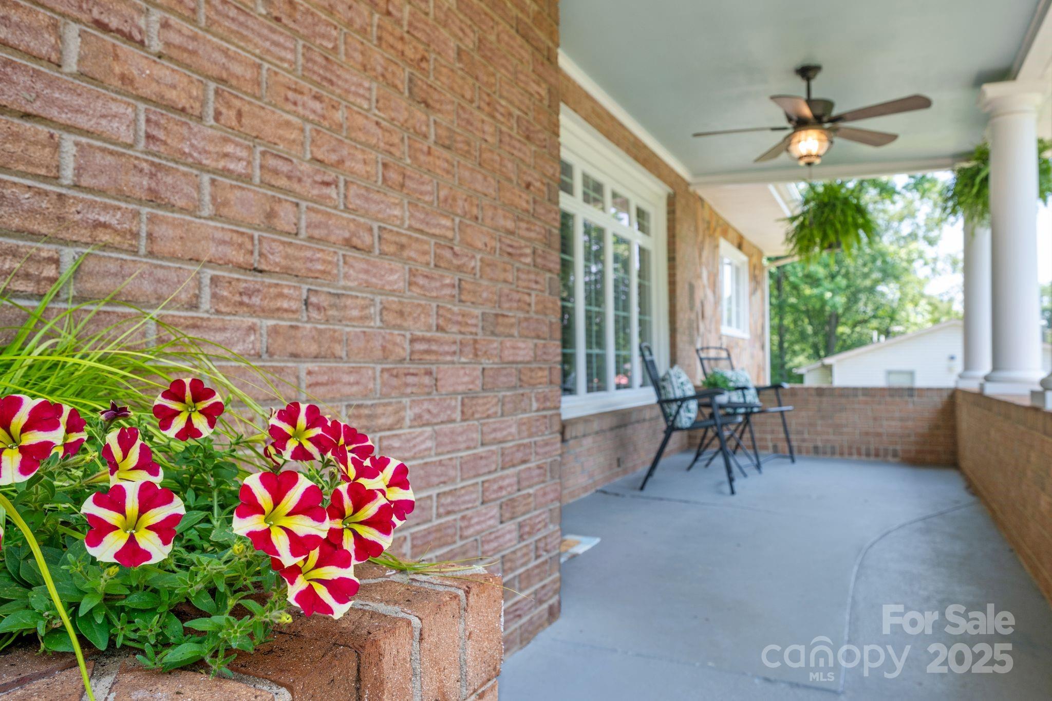 property viewer photo 1