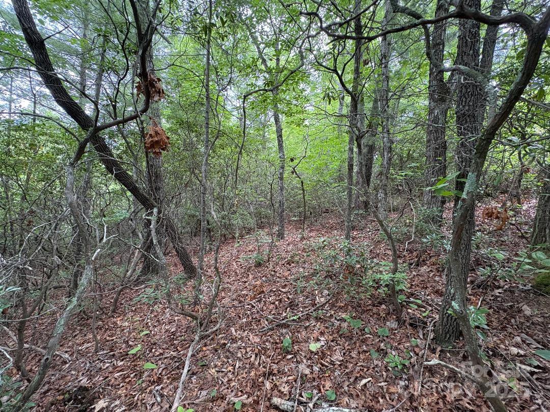 main property photo 11