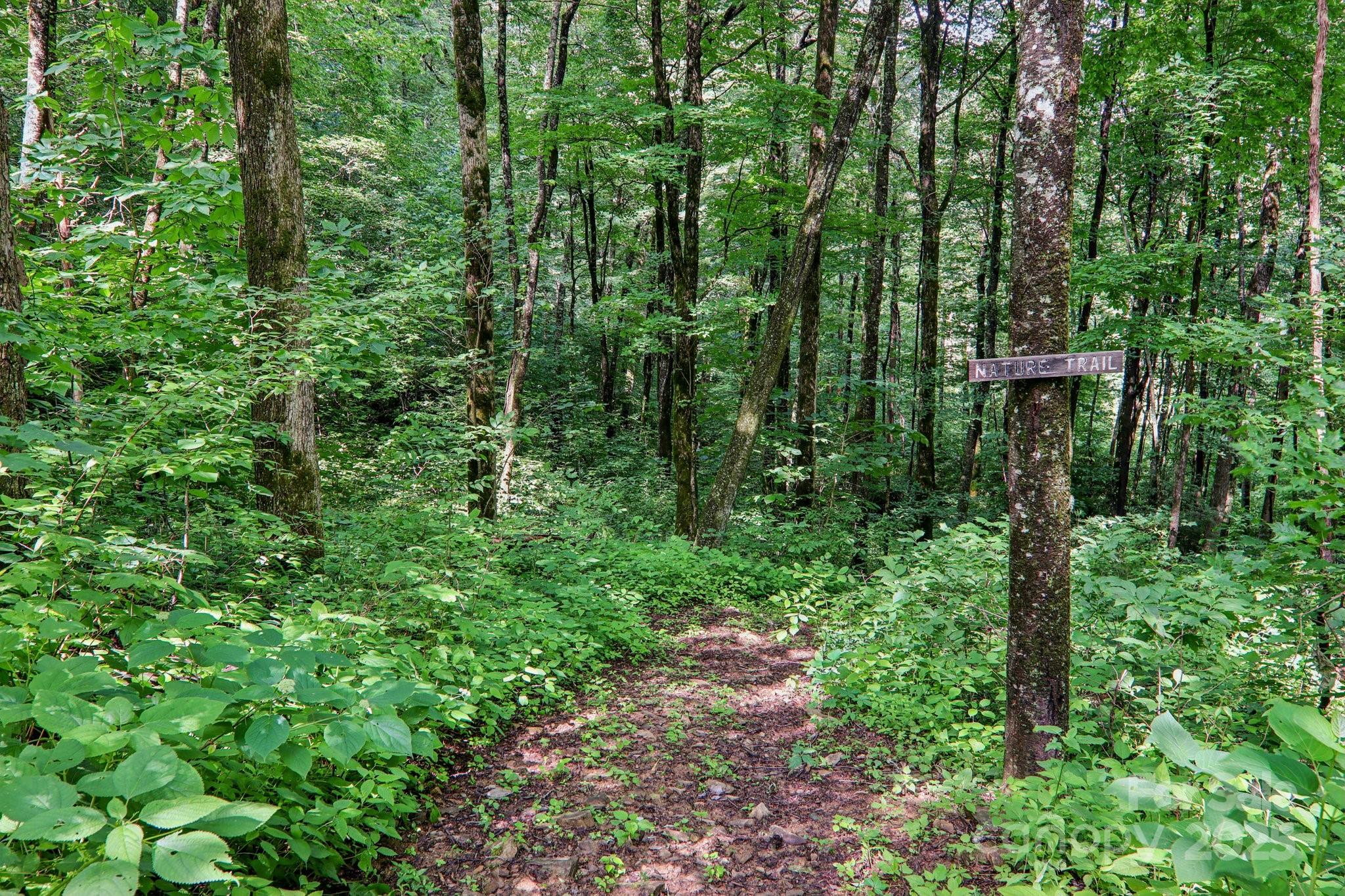 main property photo 35