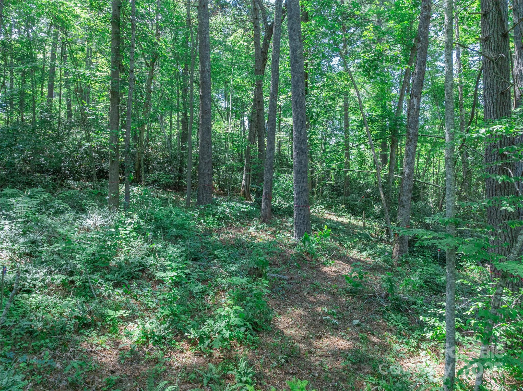 main property photo 25