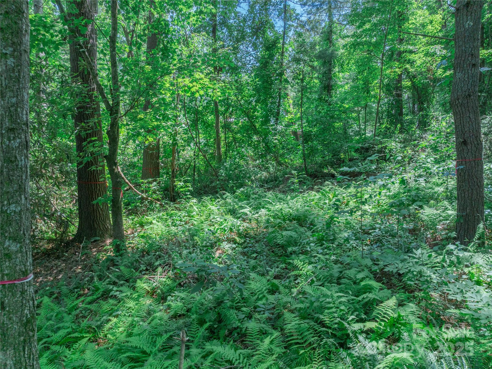 main property photo 26
