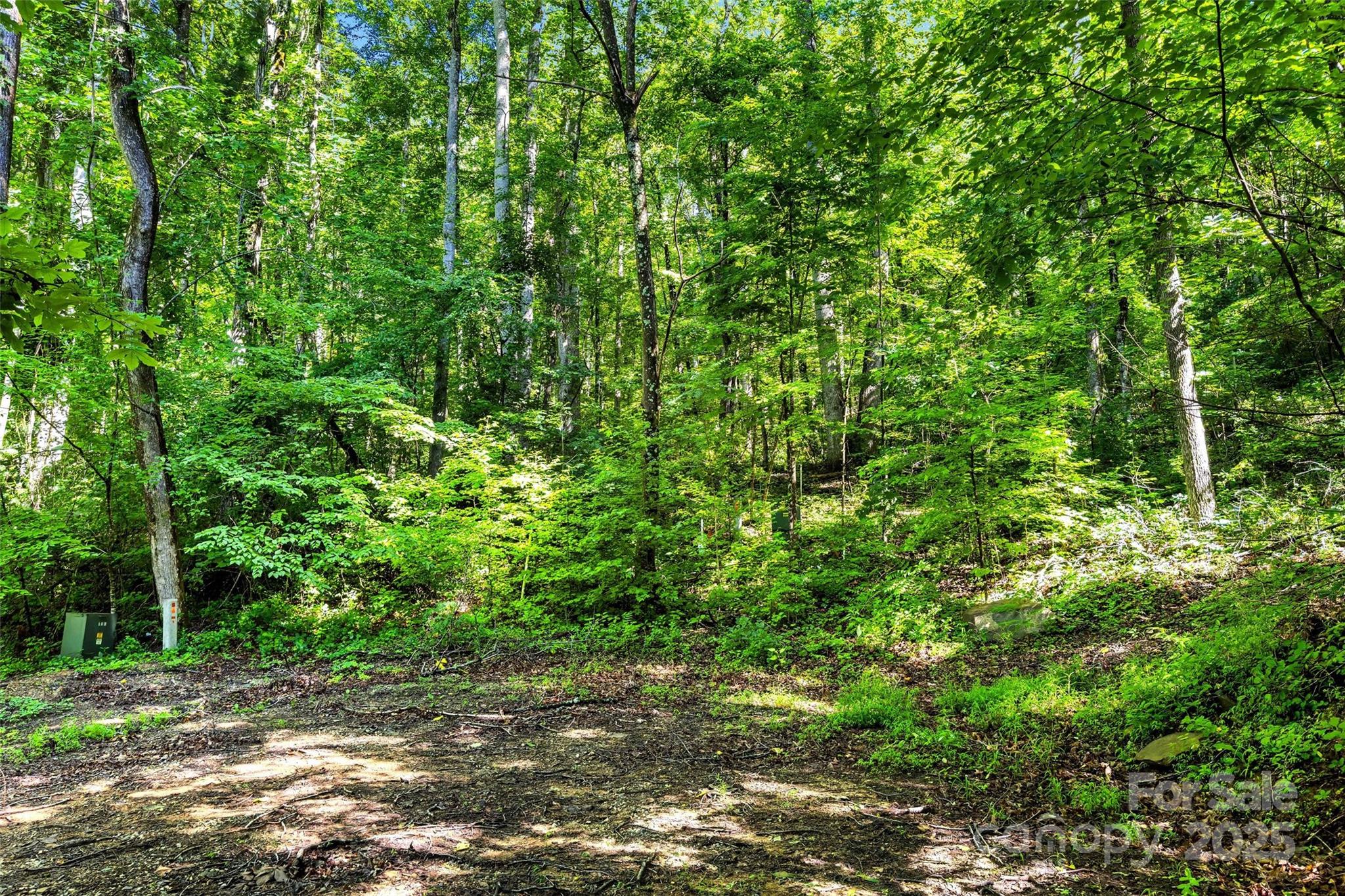 main property photo 11
