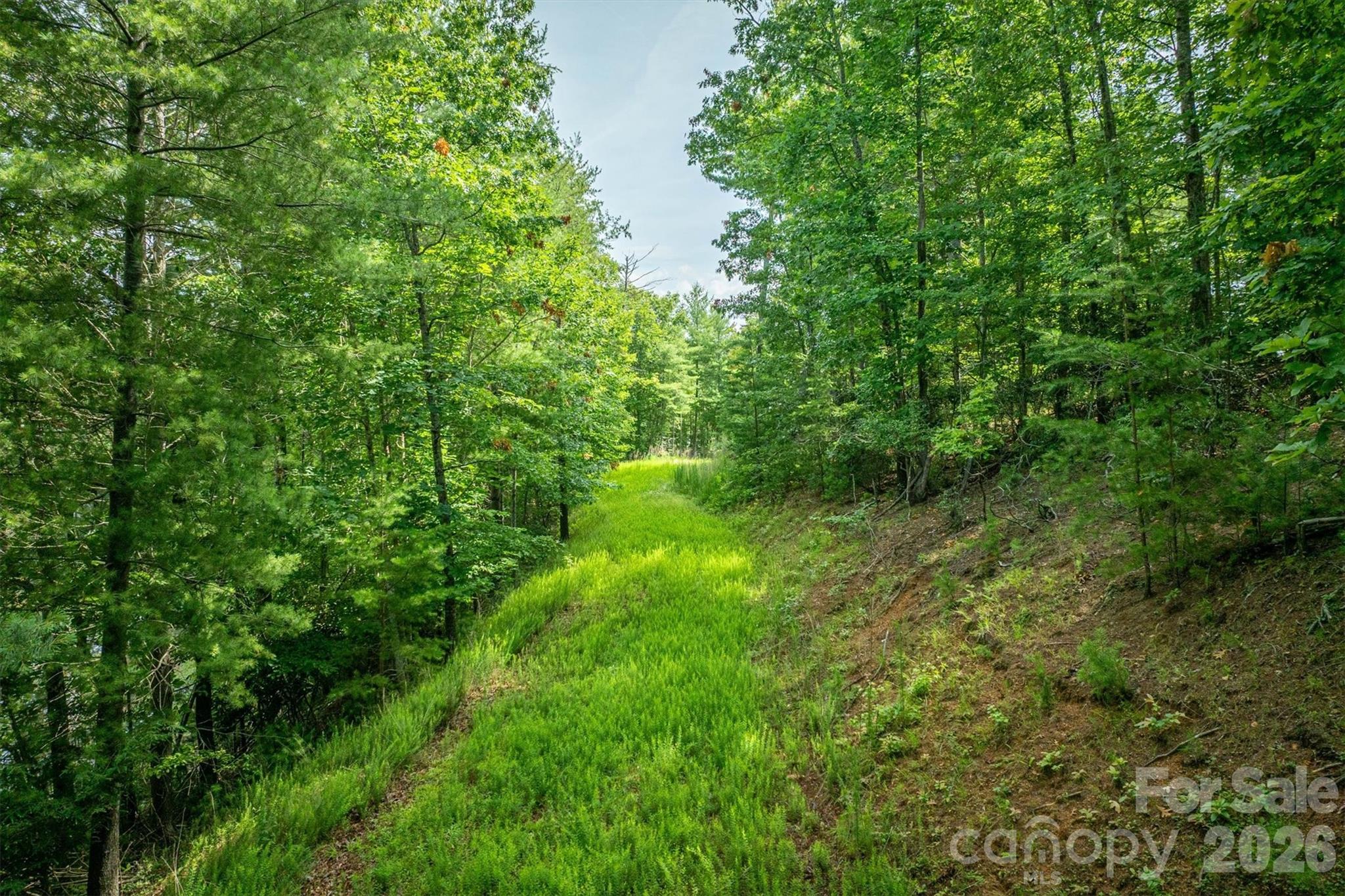 main property photo 17
