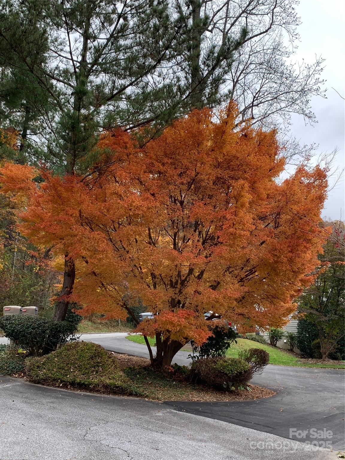 property viewer photo 32