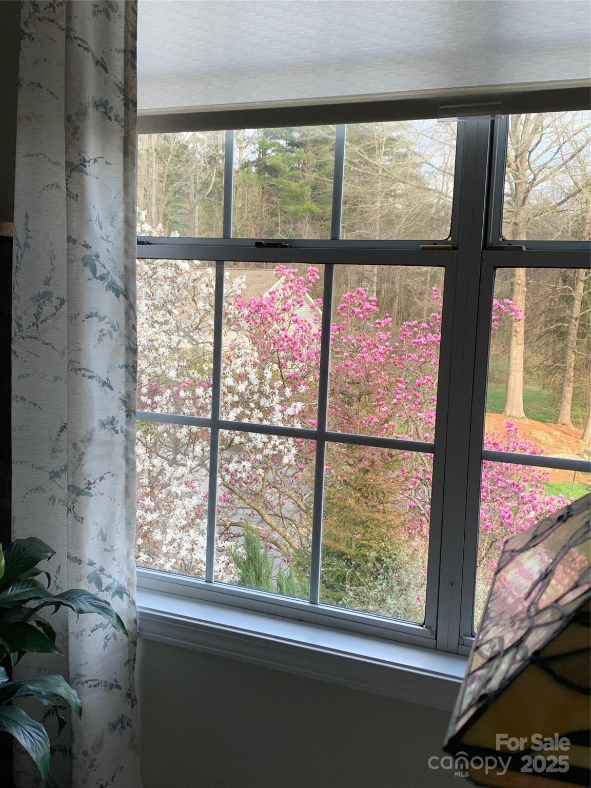 property viewer photo 33