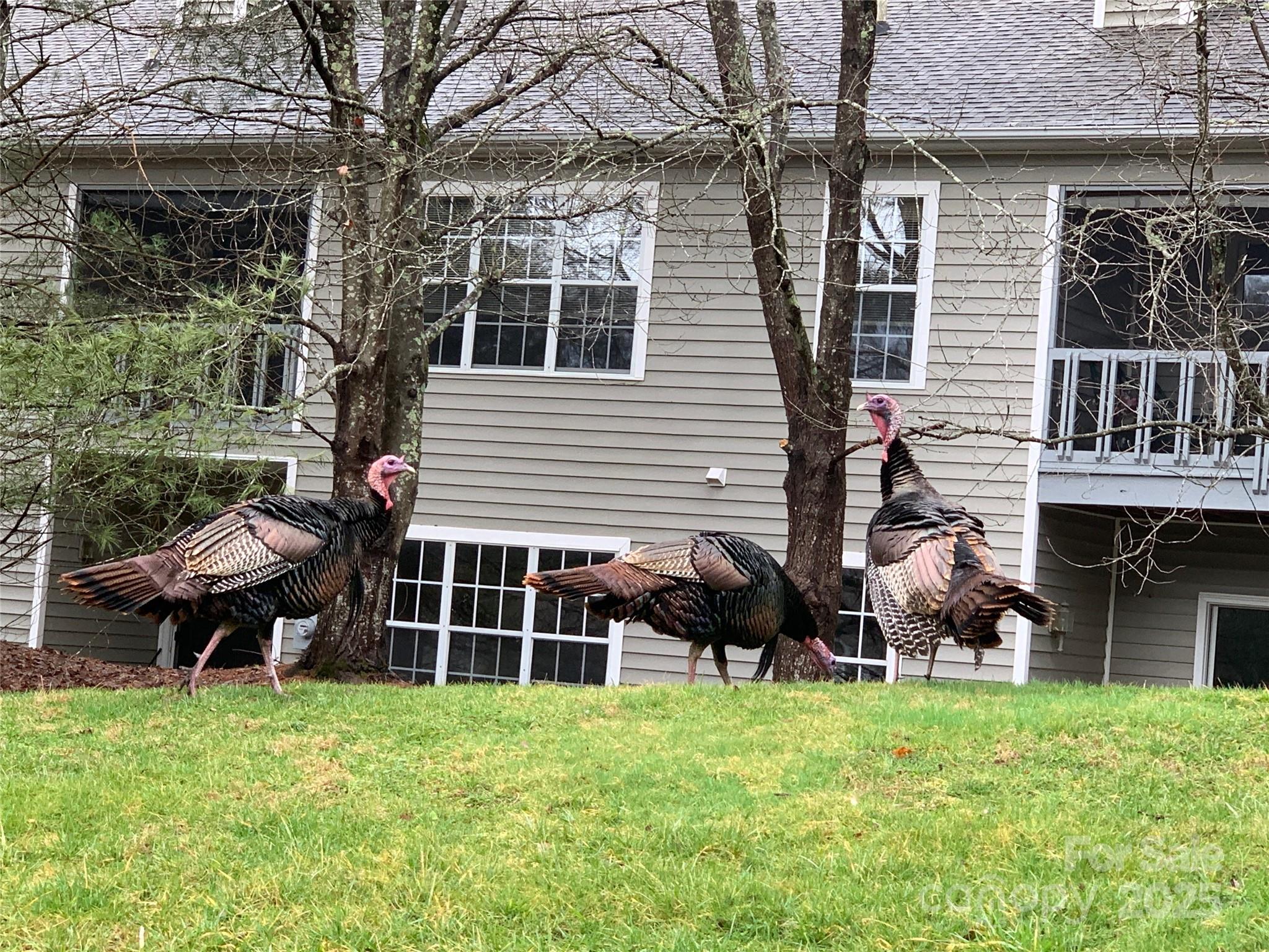property viewer photo 34
