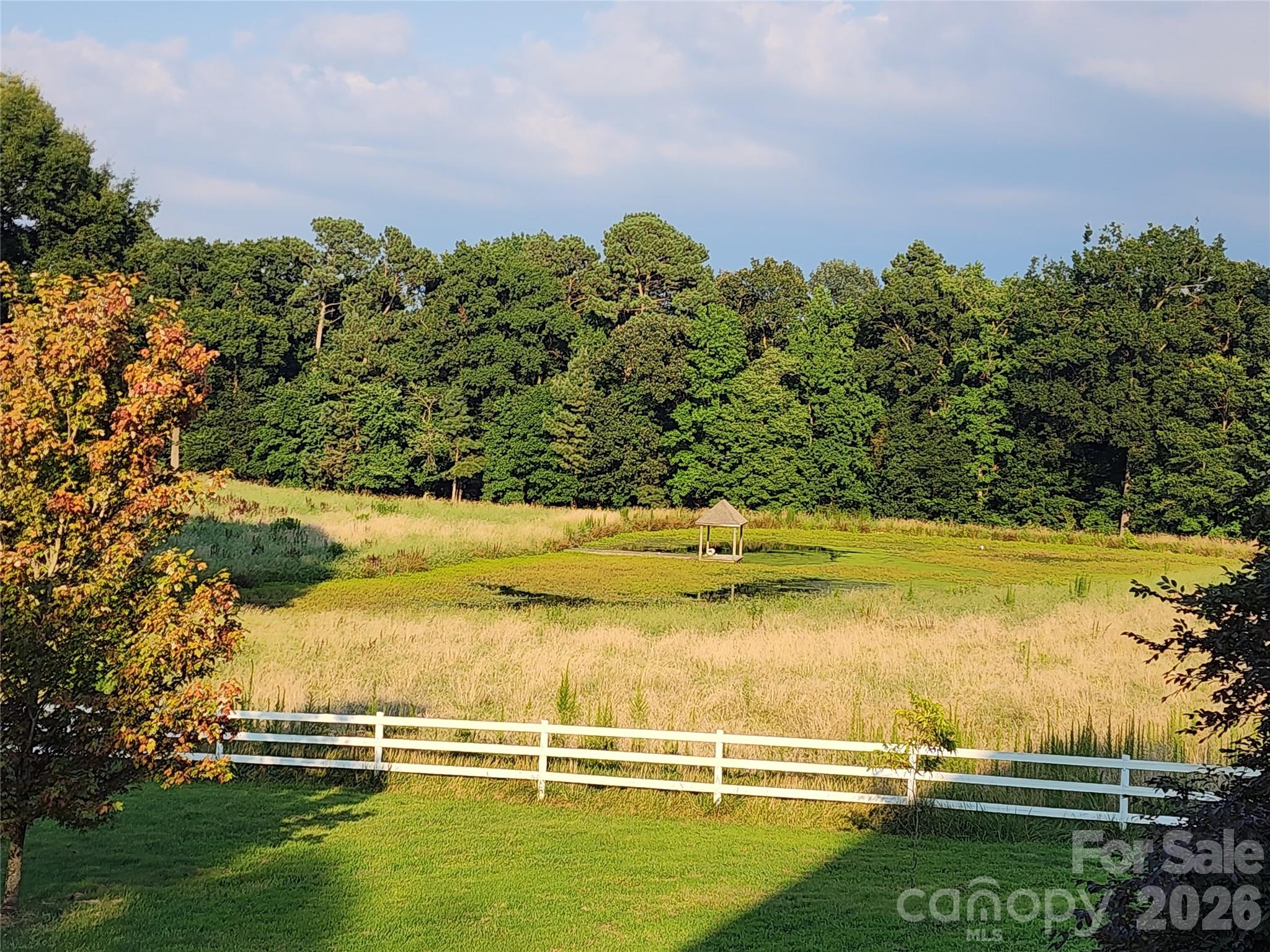 main property photo 31