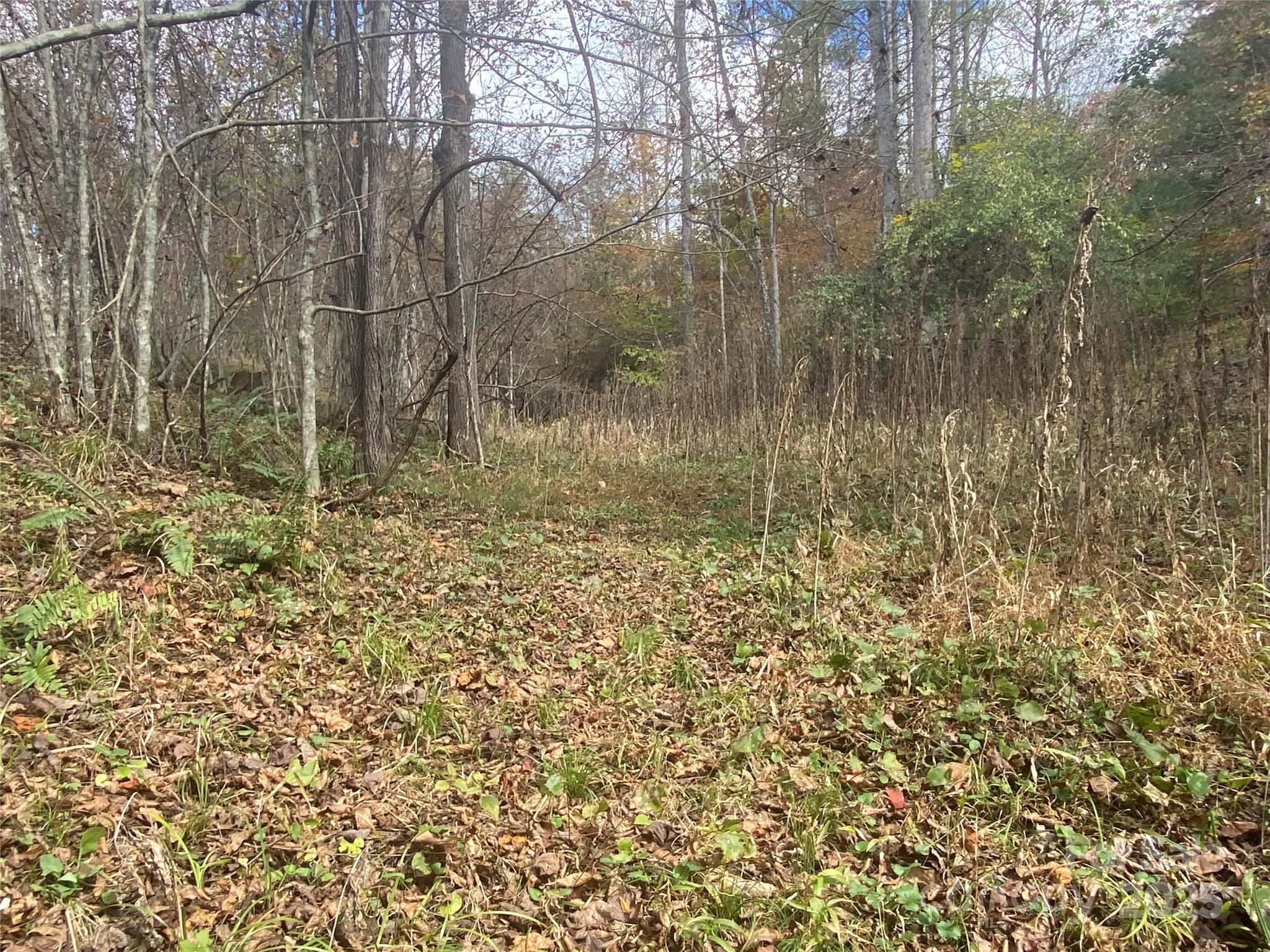 main property photo 28