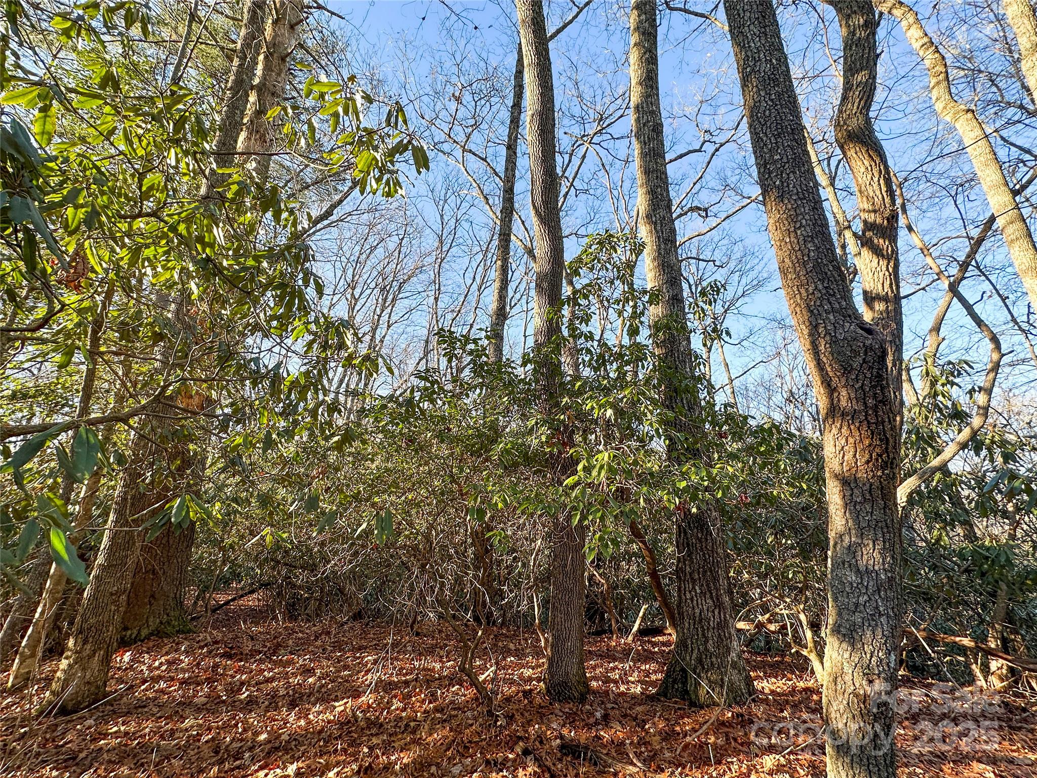 main property photo 6