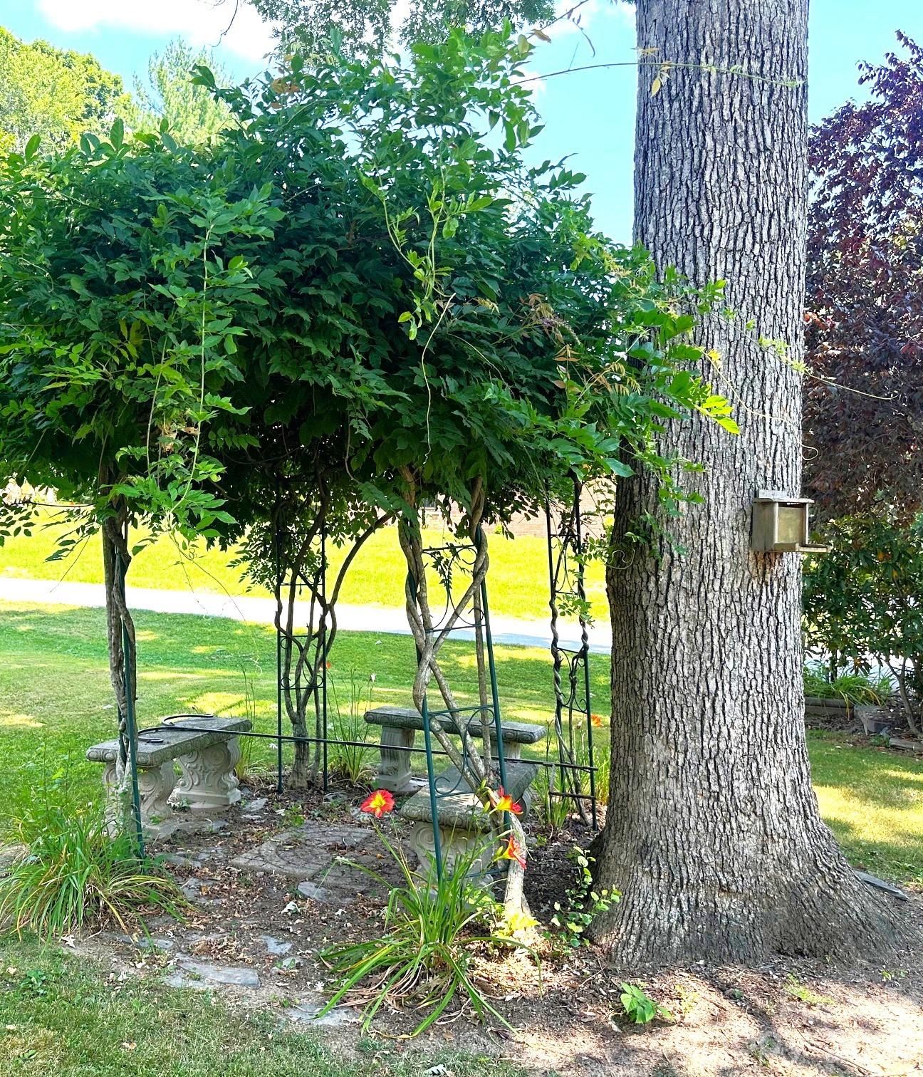 main property photo 33