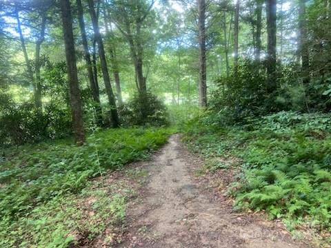main property photo 10
