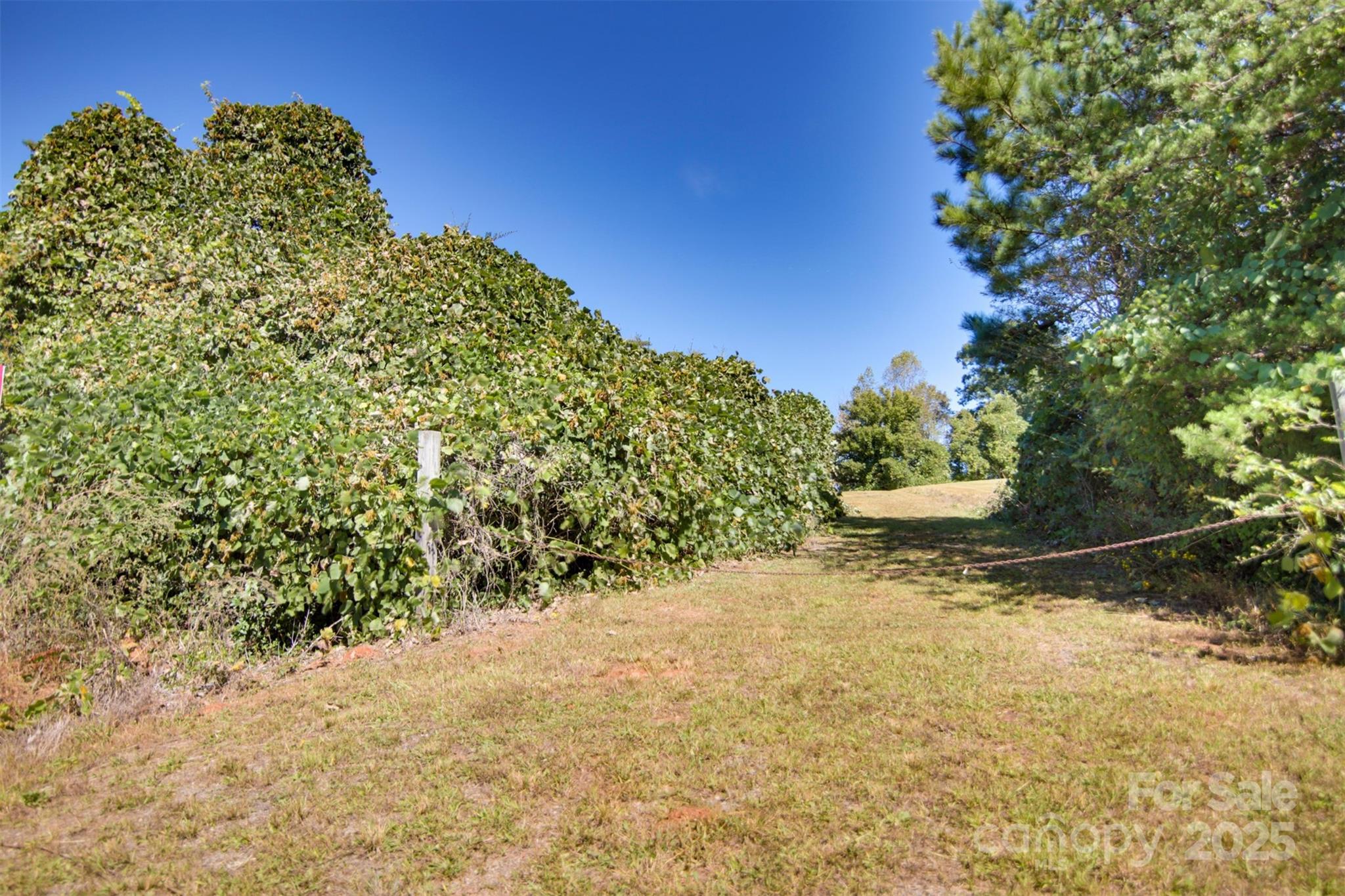 property viewer photo 1