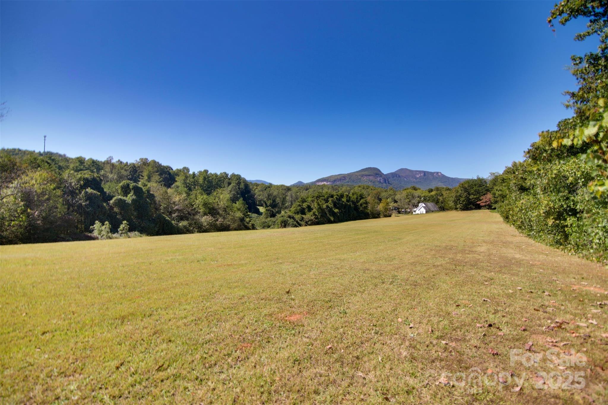 property viewer photo 12