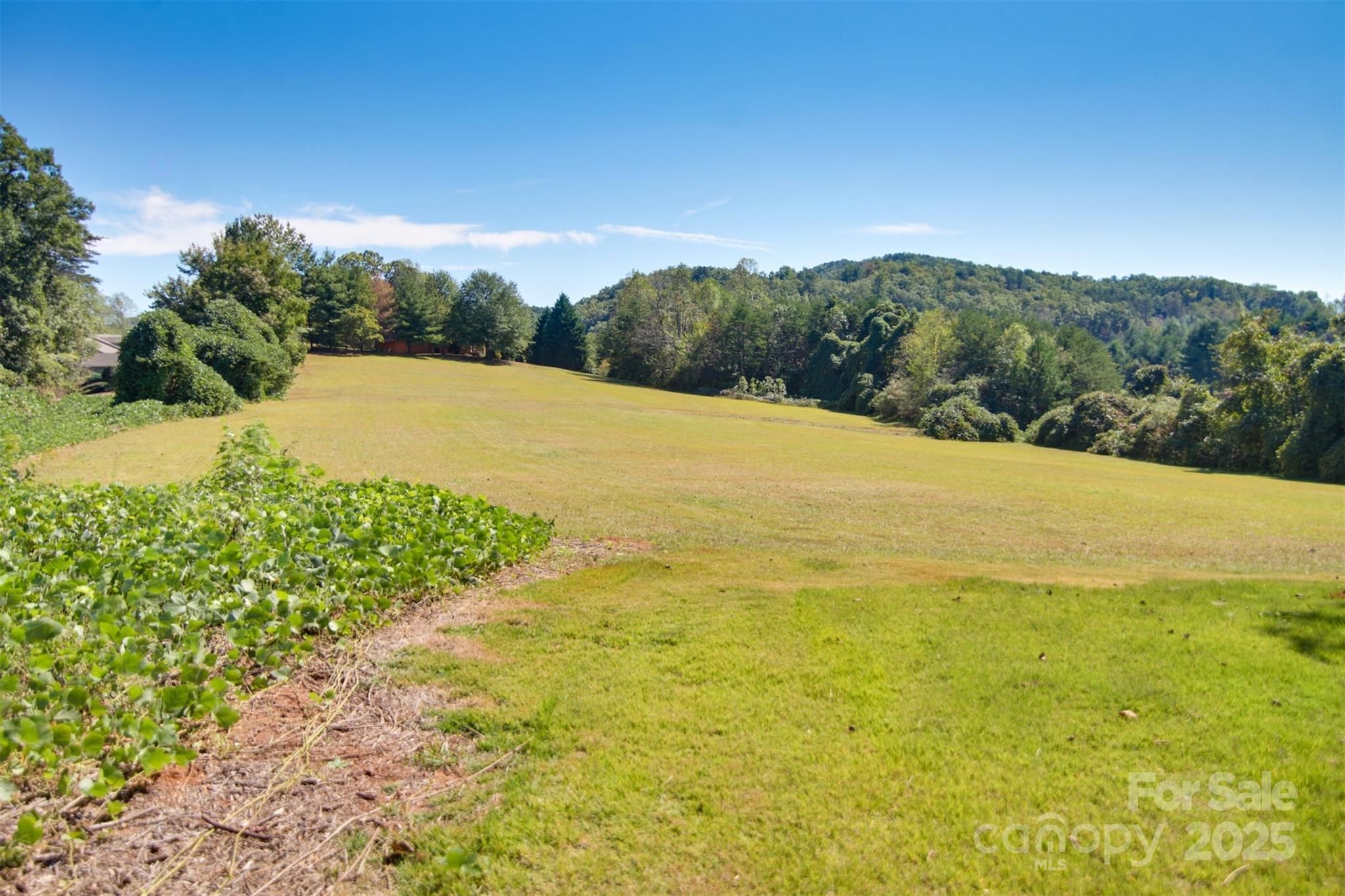 property viewer photo 14