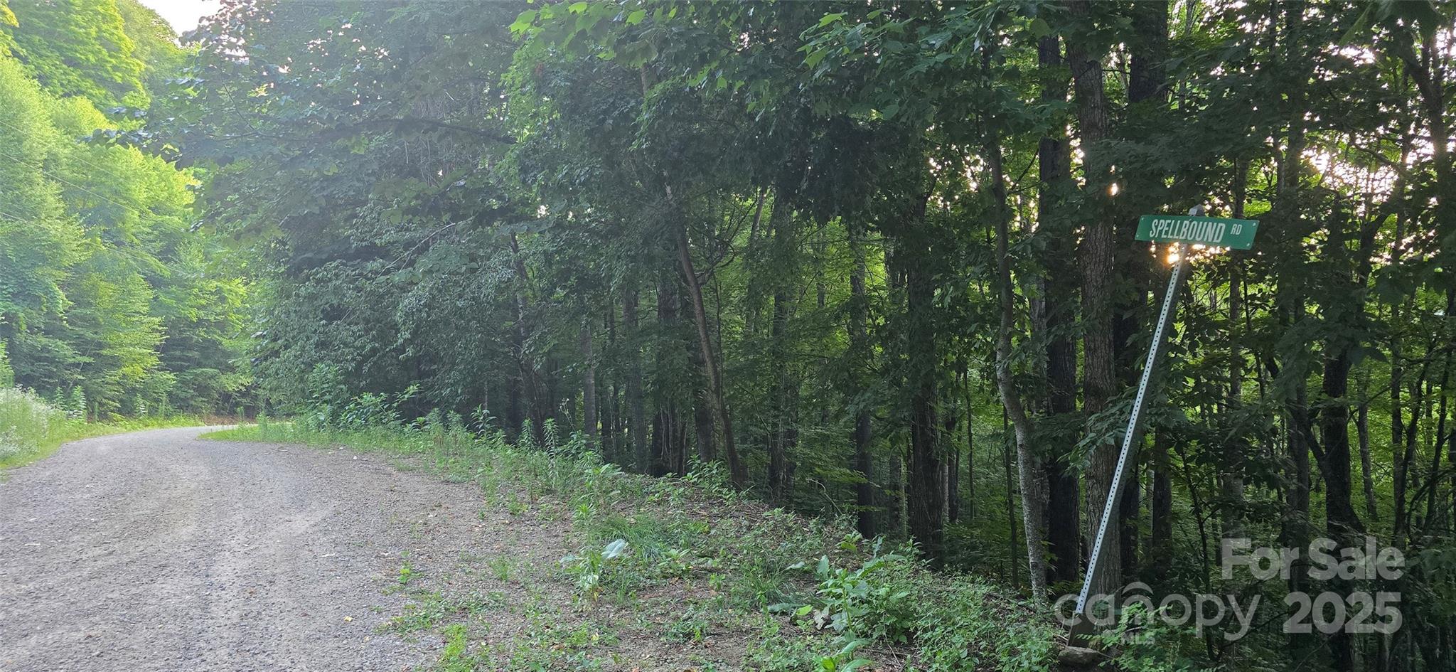 main property photo 13