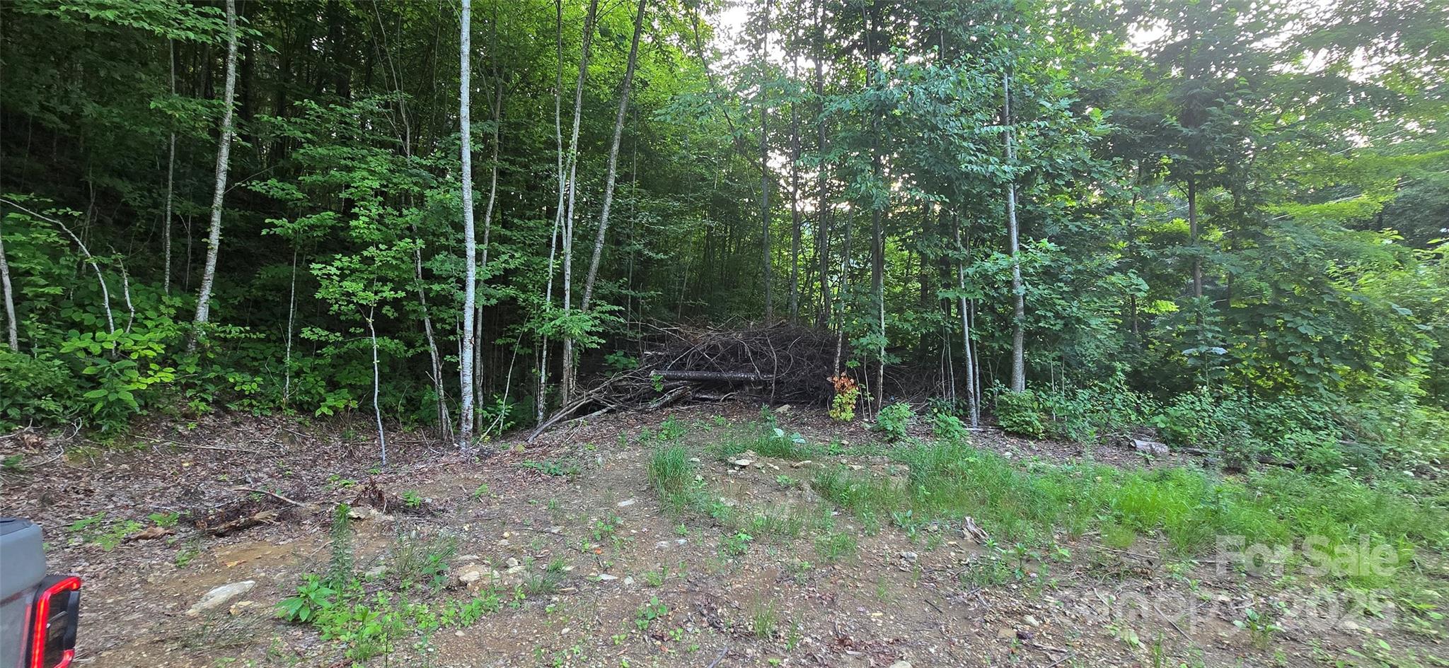 main property photo 7