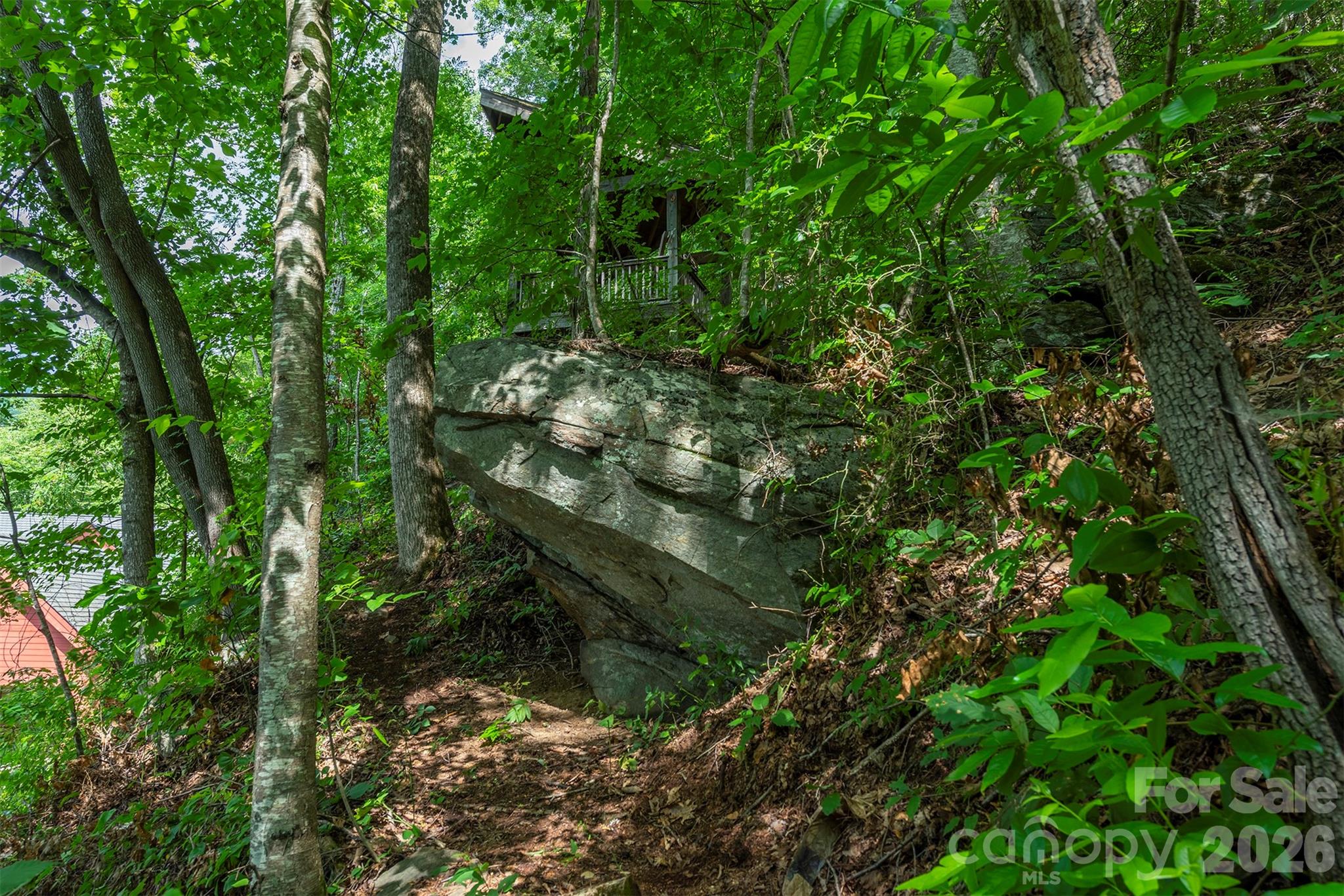 main property photo 42