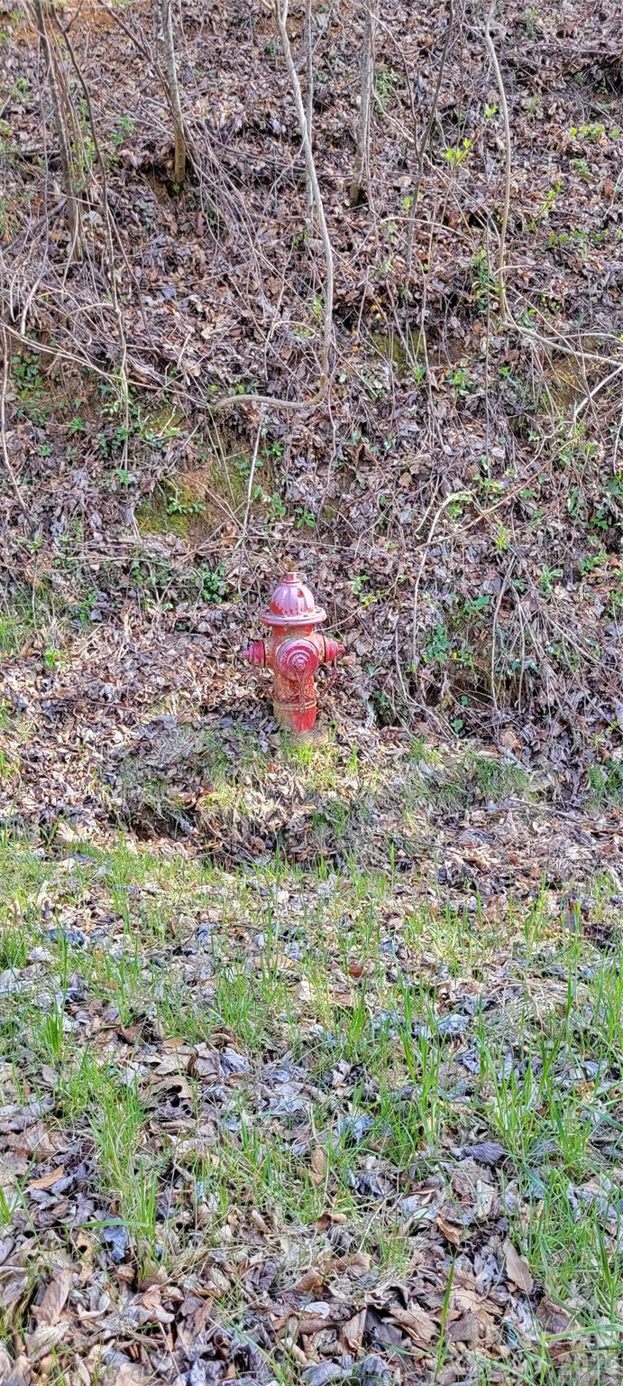 main property photo 7