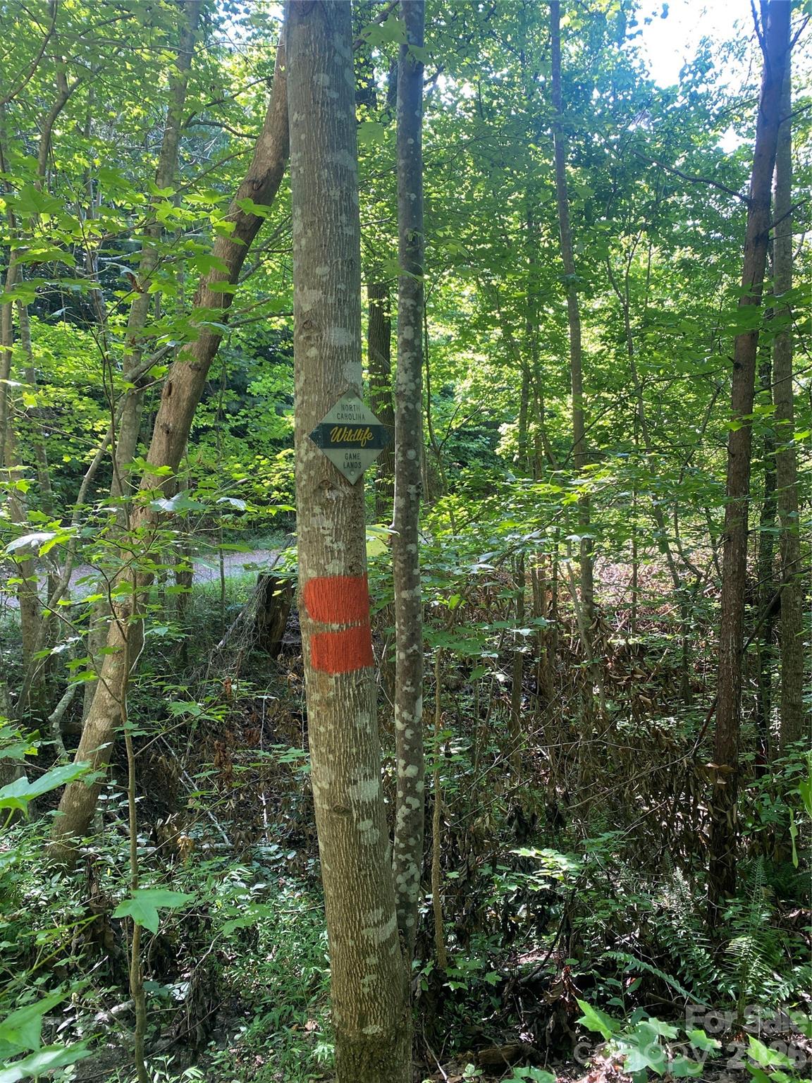 main property photo 19