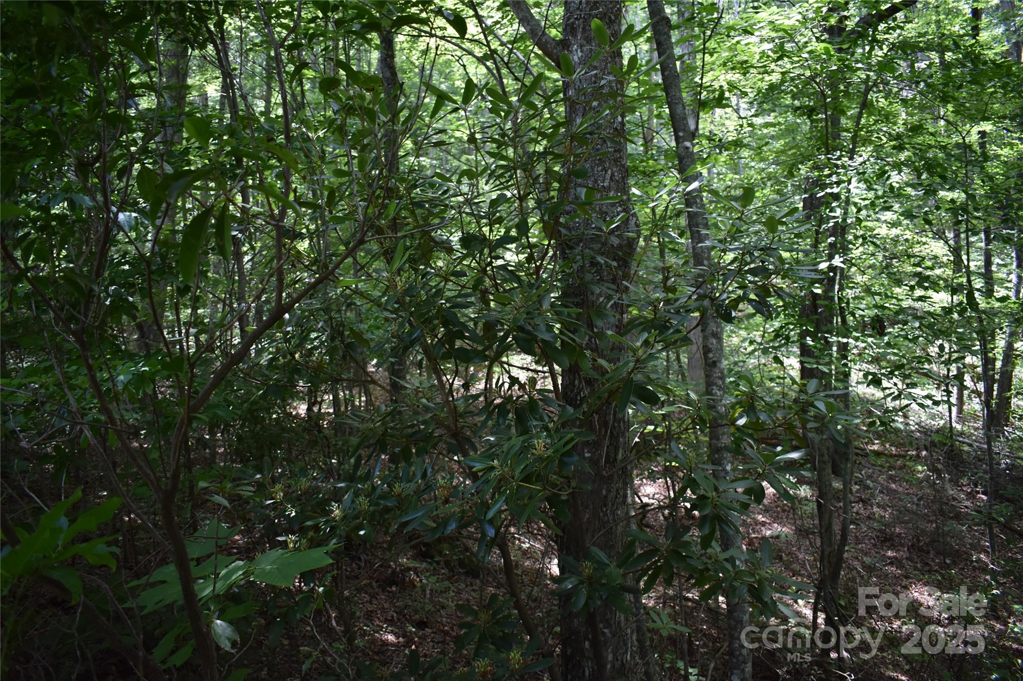 main property photo 25