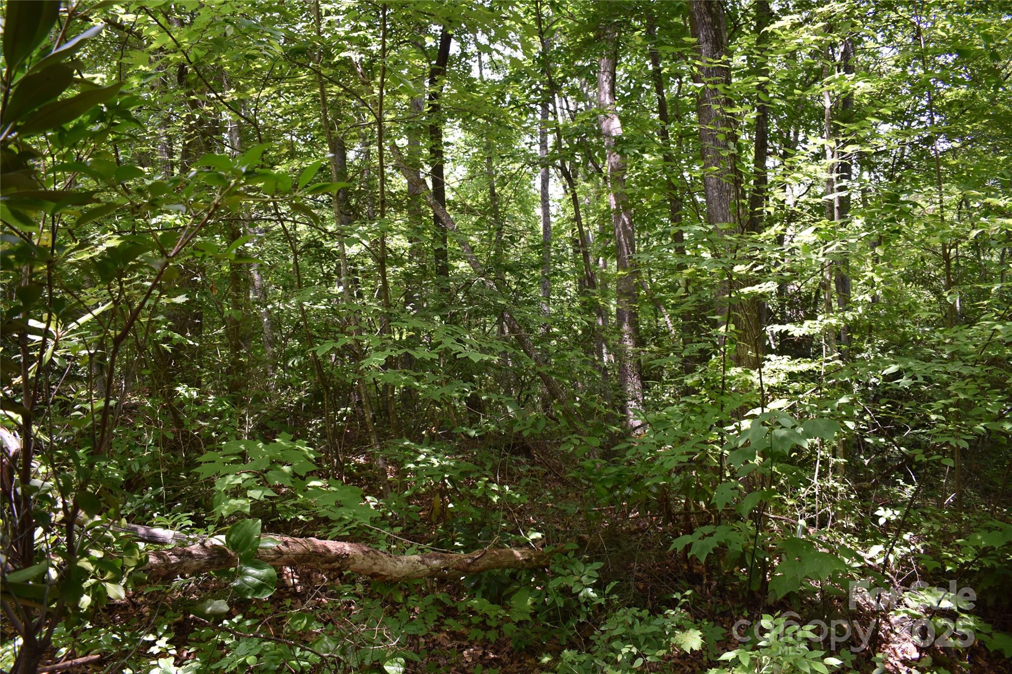main property photo 41