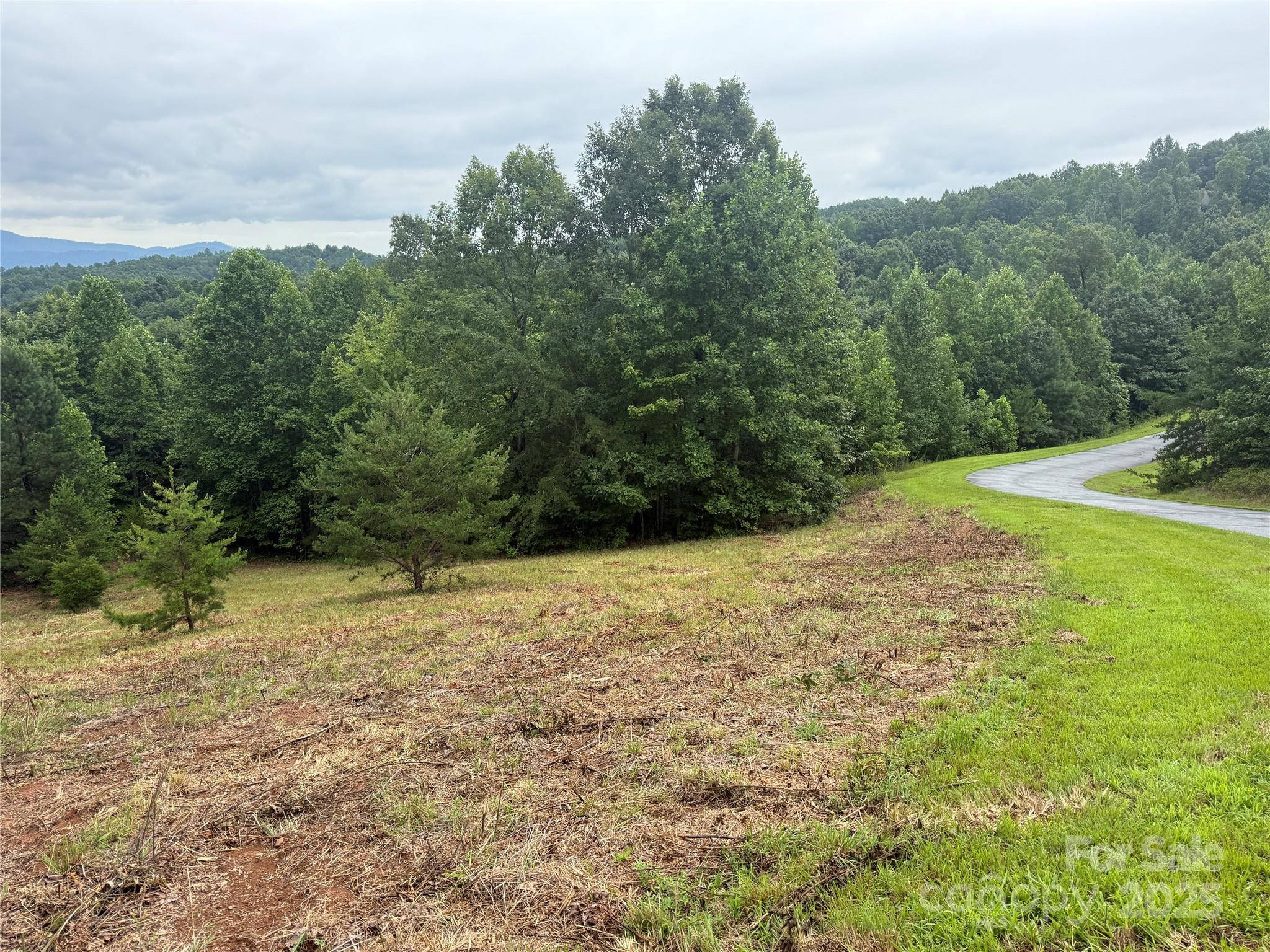 main property photo 13