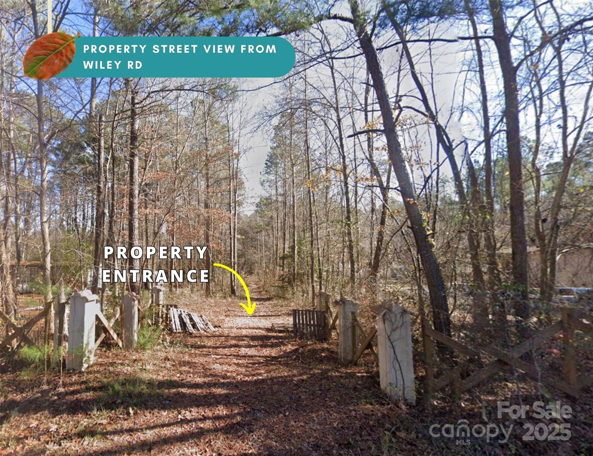 main property photo 3