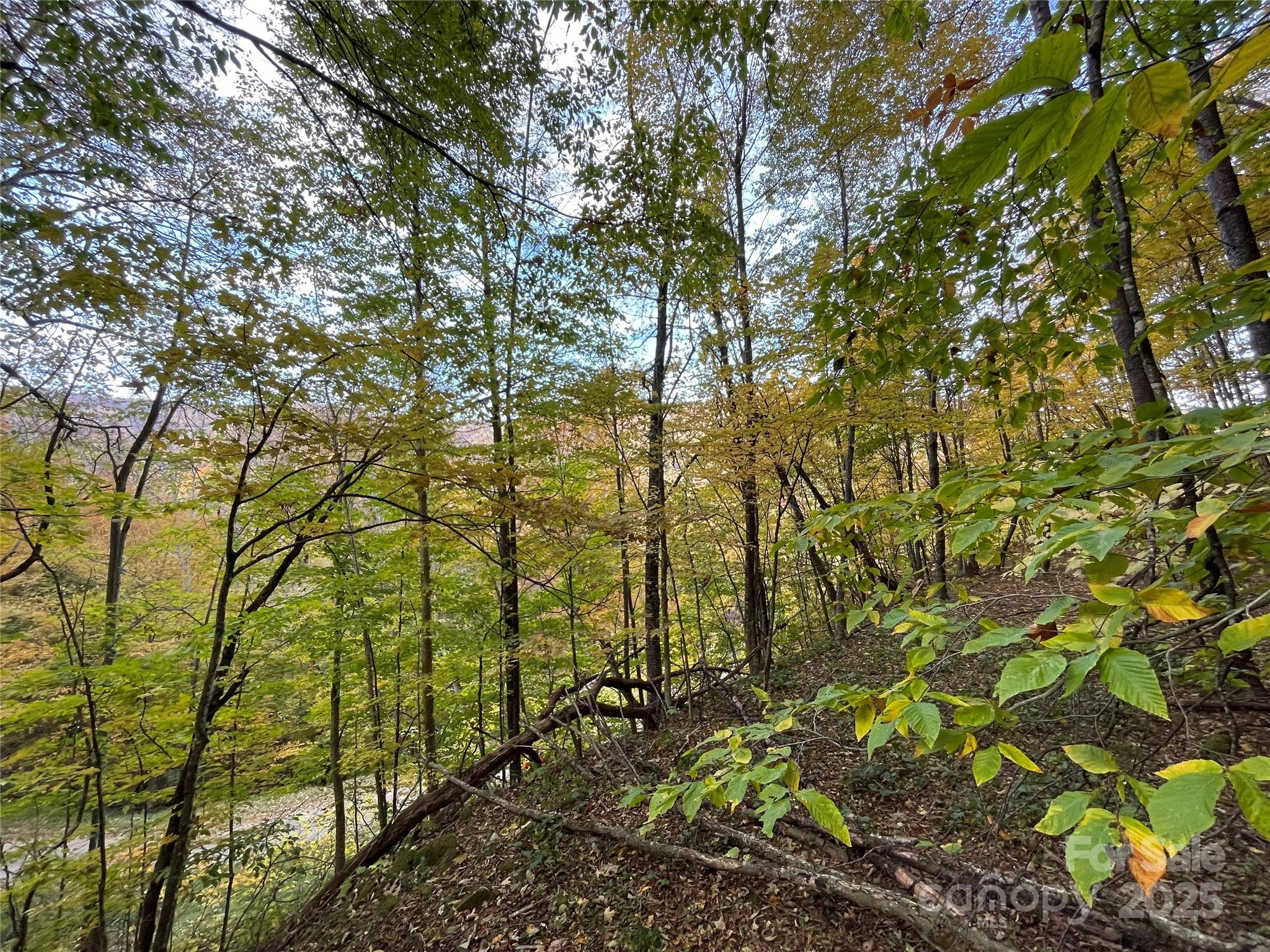 main property photo 11