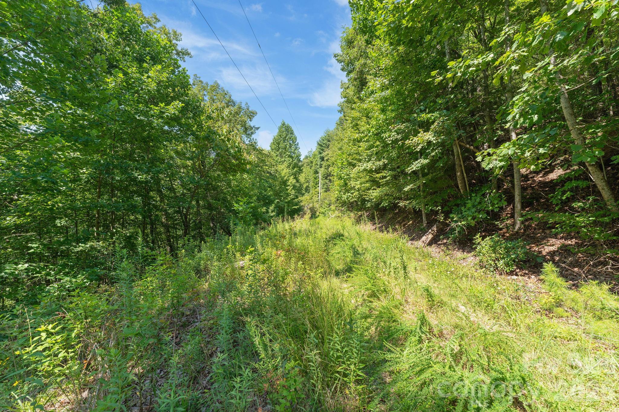 main property photo 24