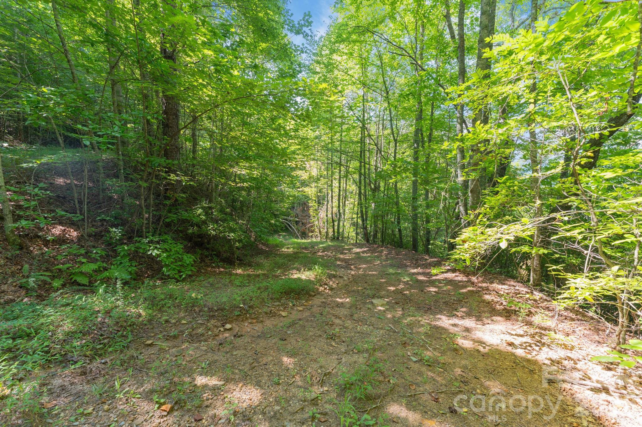 main property photo 31