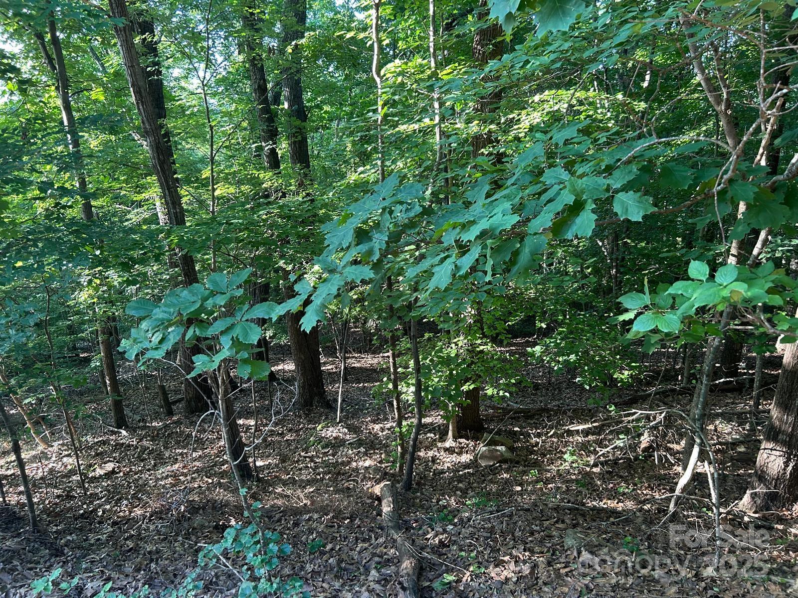main property photo 11