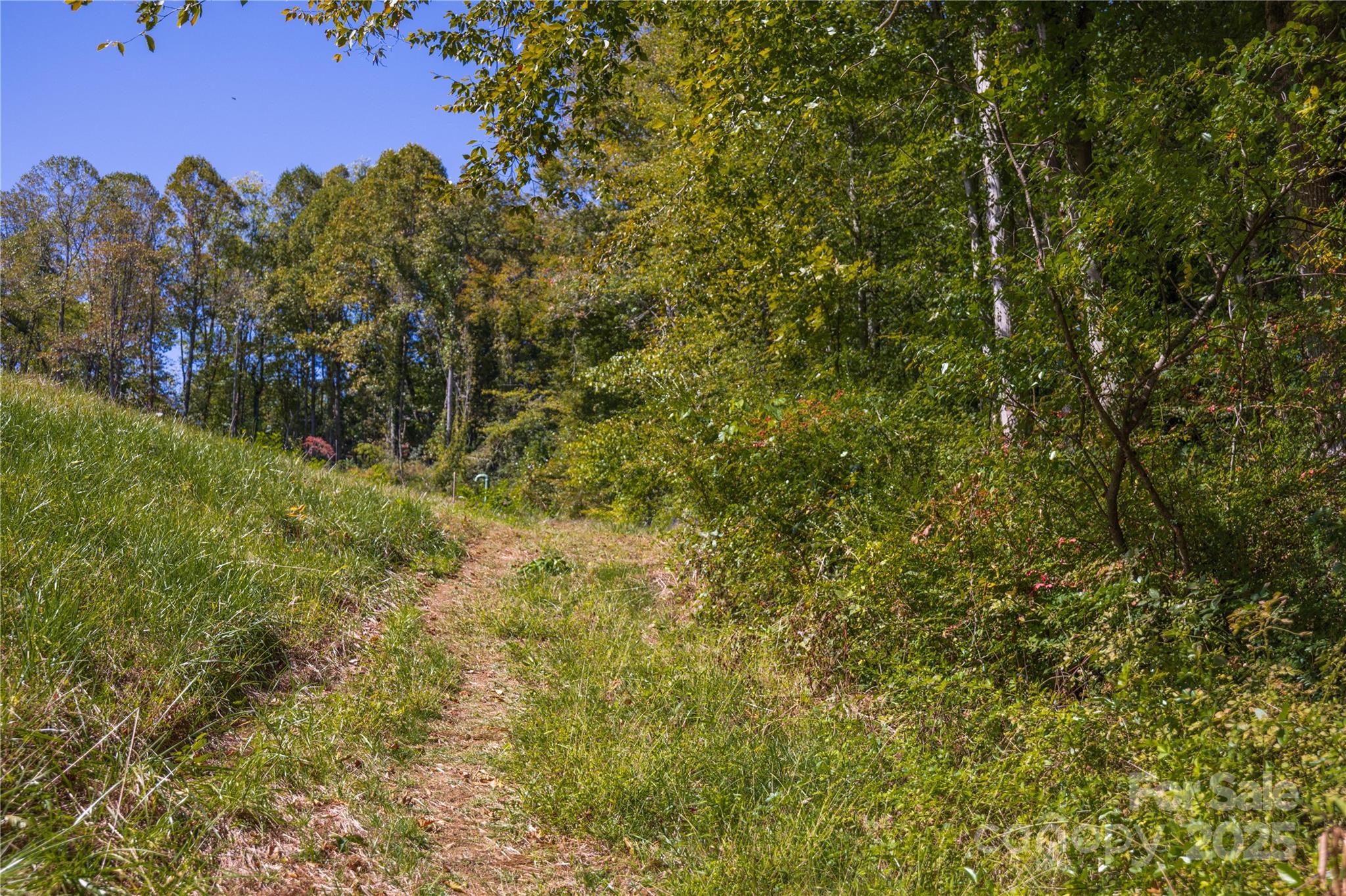 property viewer photo 38