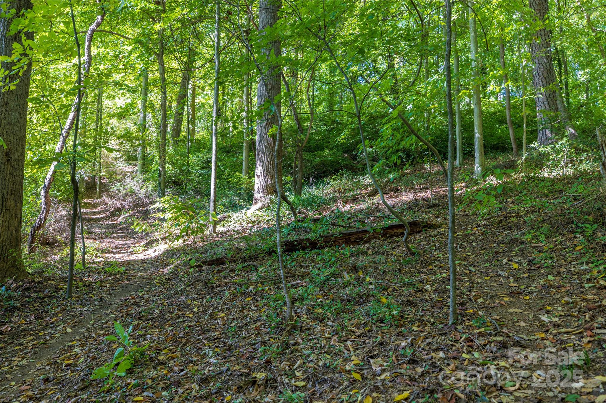 property viewer photo 42