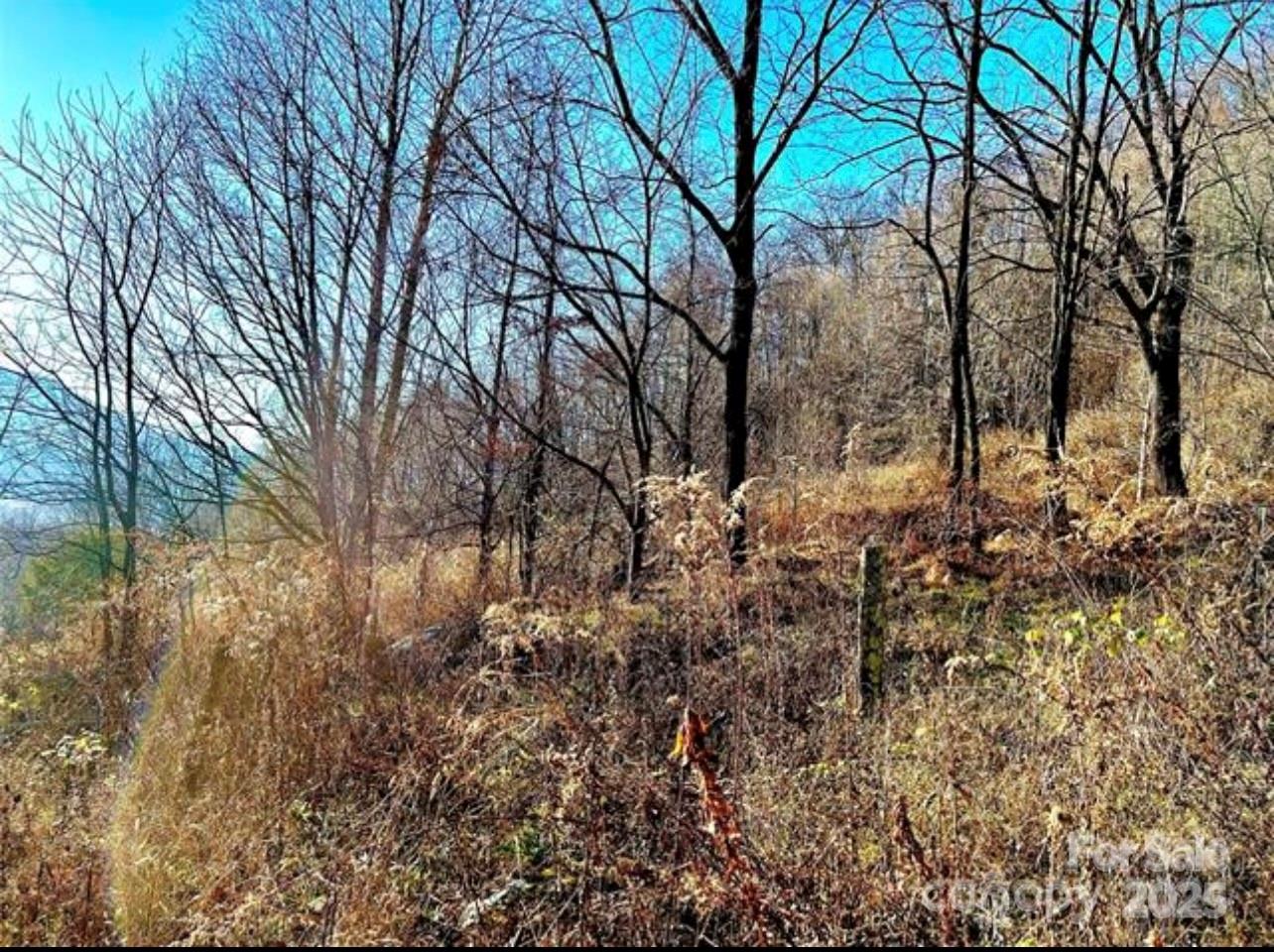 main property photo 11