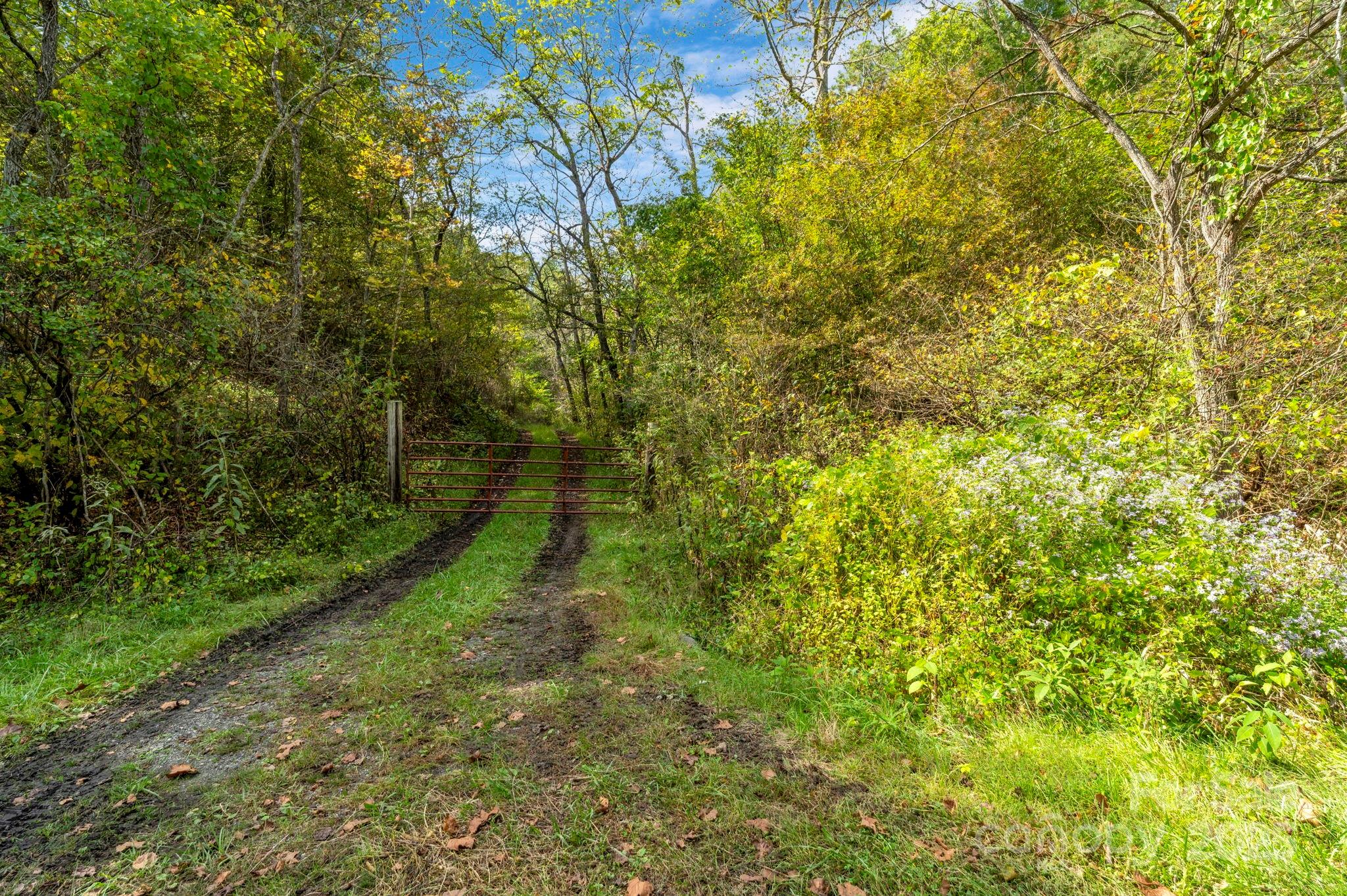 main property photo 44