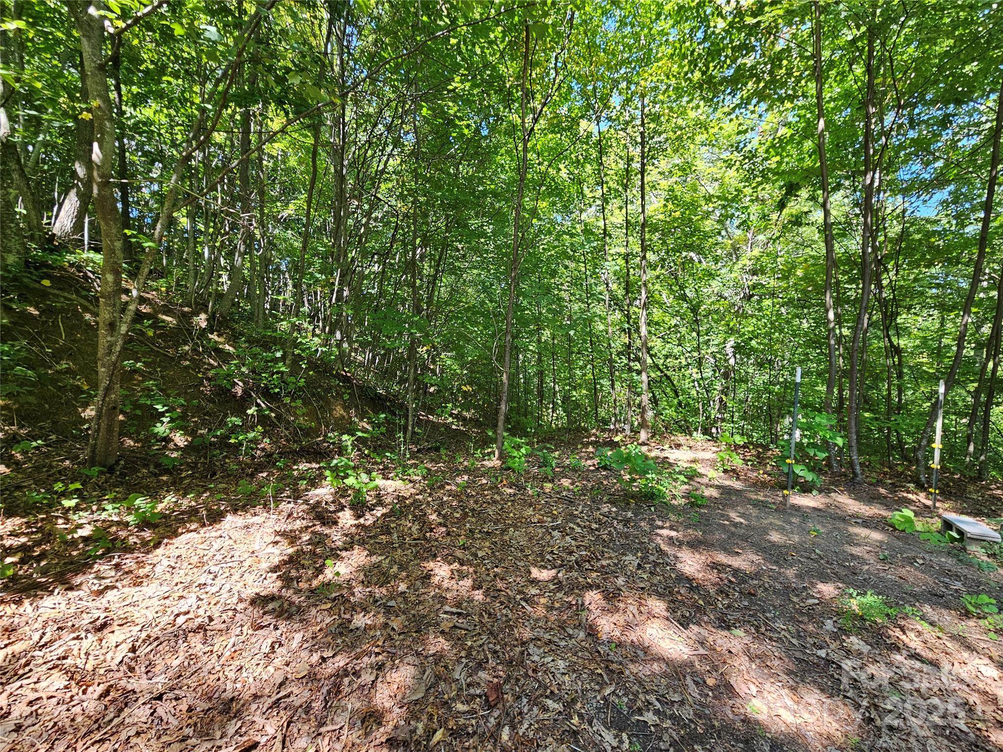 main property photo 16